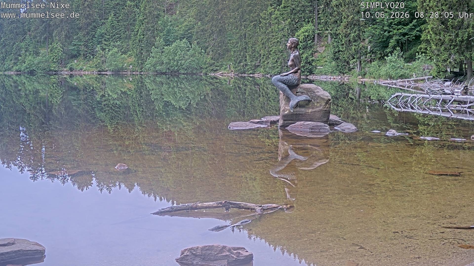 Archived image Webcam Lake Mummelsee - Black Forest