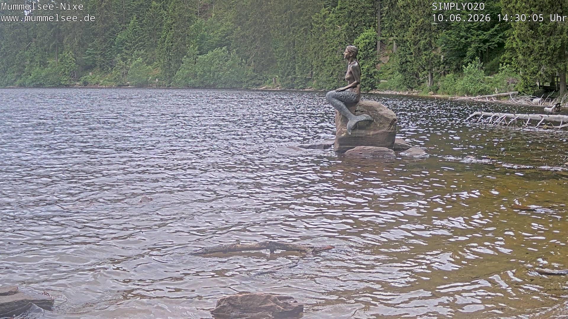 Archived image Webcam Lake Mummelsee - Black Forest