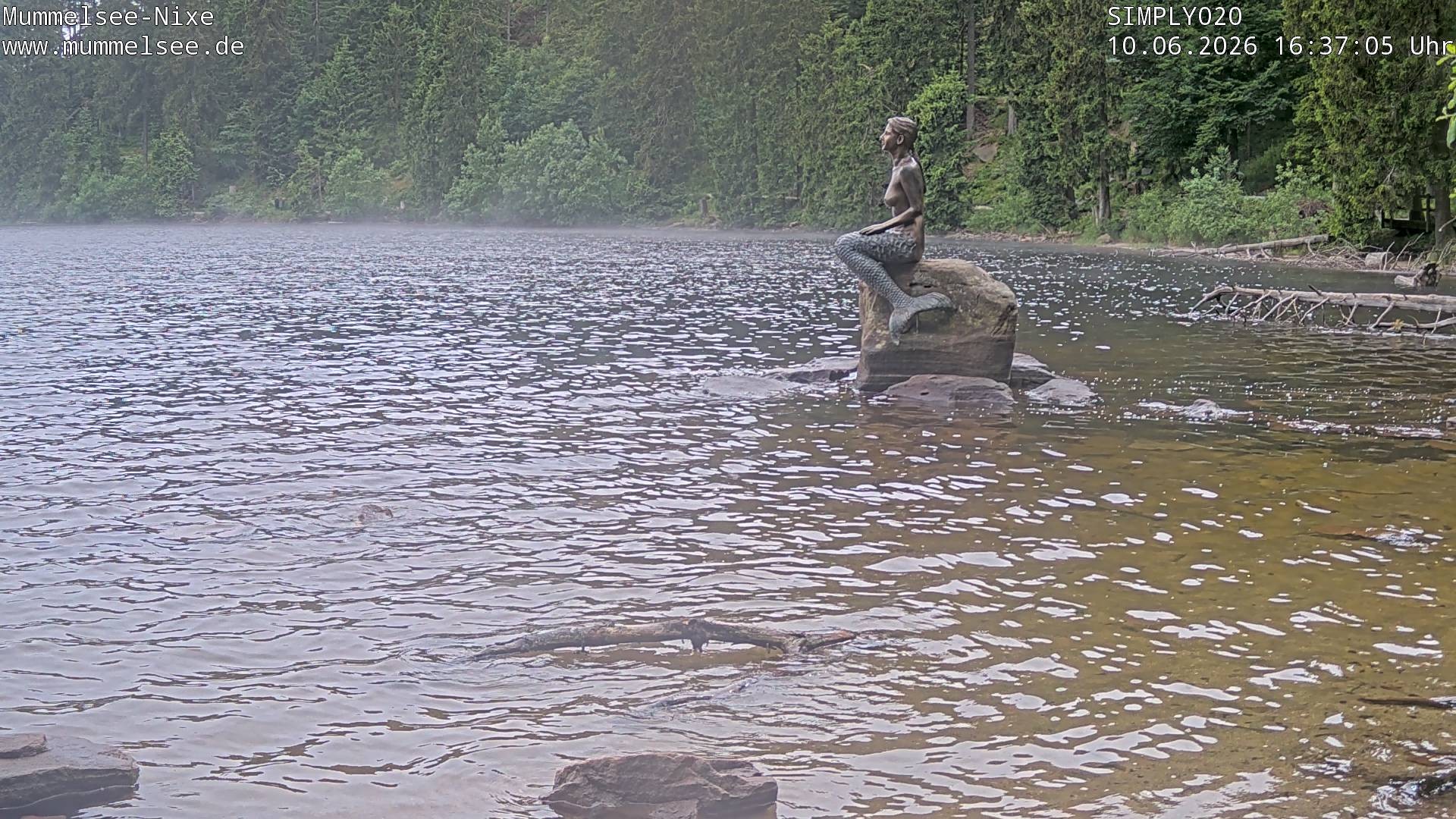 Archived image Webcam Lake Mummelsee - Black Forest