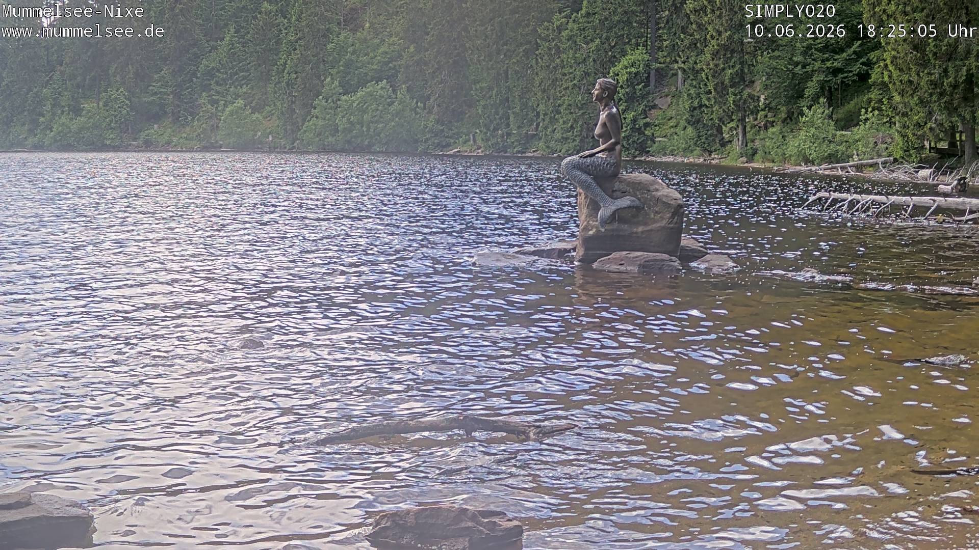 Archived image Webcam Lake Mummelsee - Black Forest