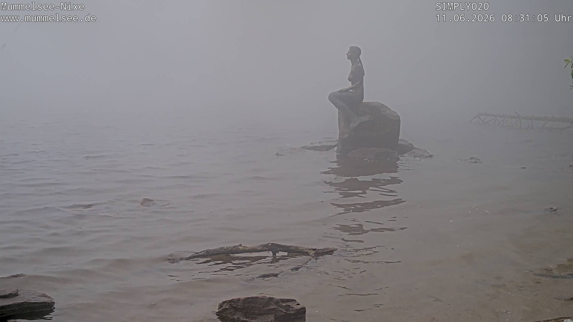 Archived image Webcam Lake Mummelsee - Black Forest
