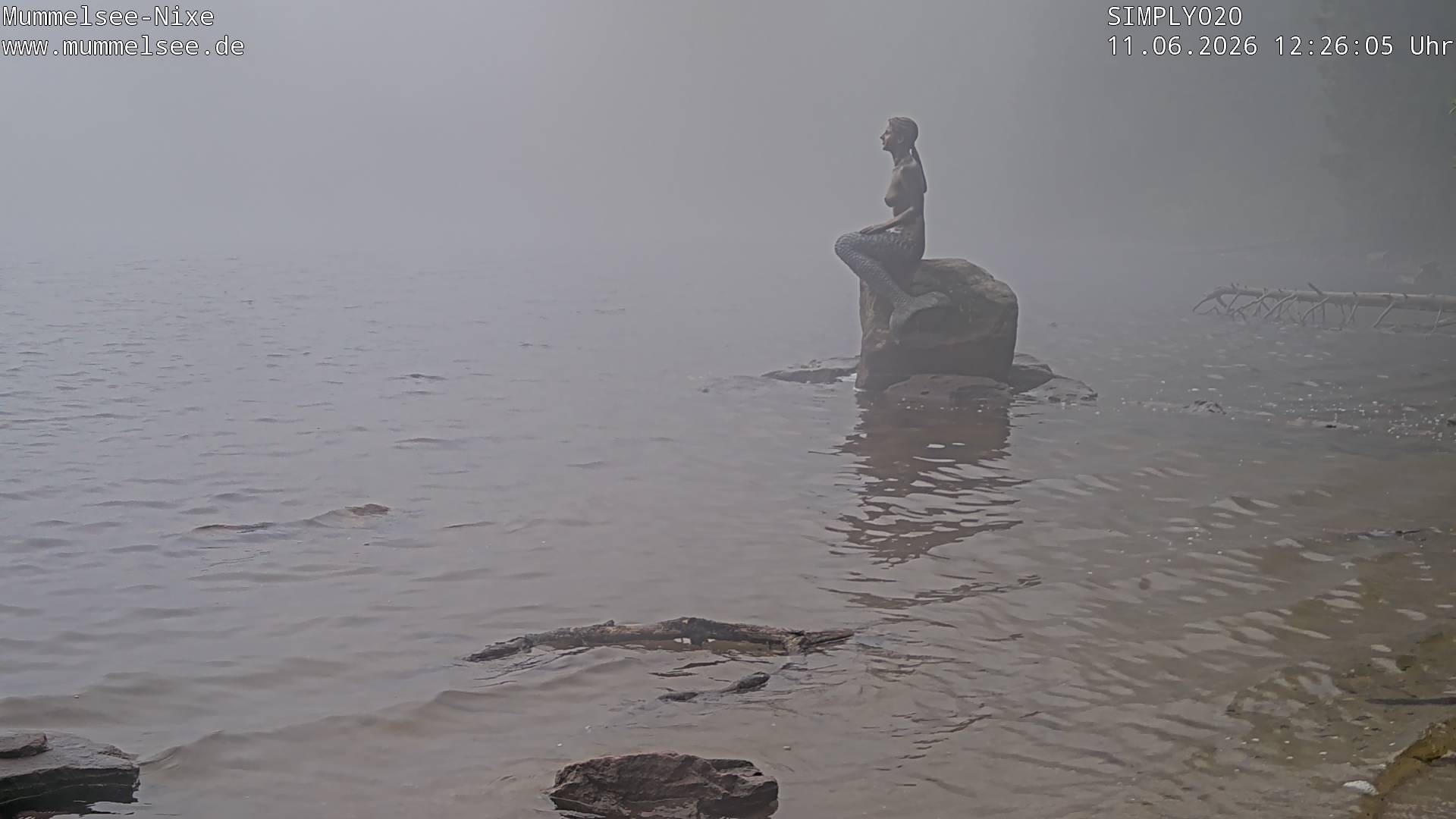 Archived image Webcam Lake Mummelsee - Black Forest