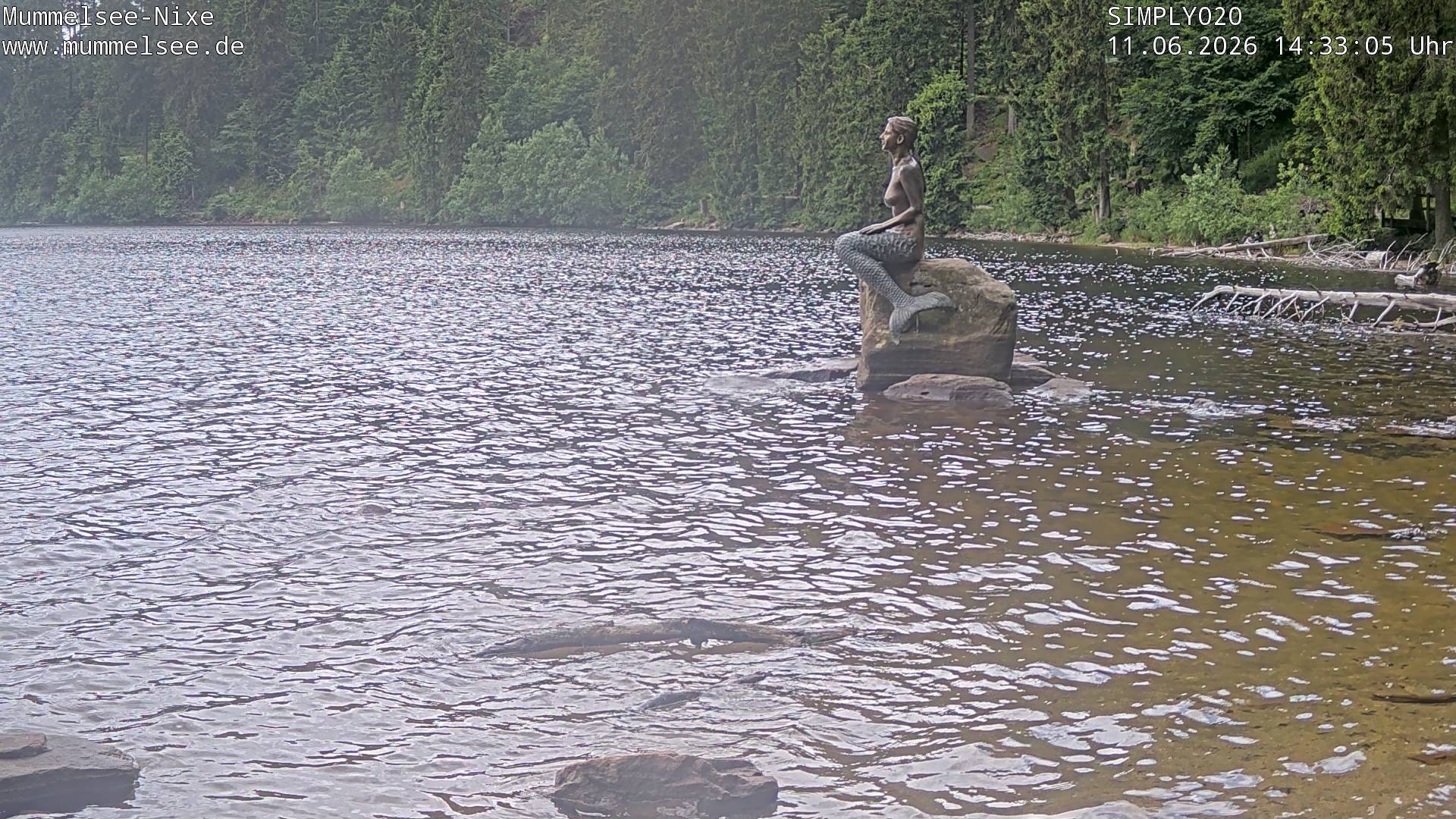 Archived image Webcam Lake Mummelsee - Black Forest