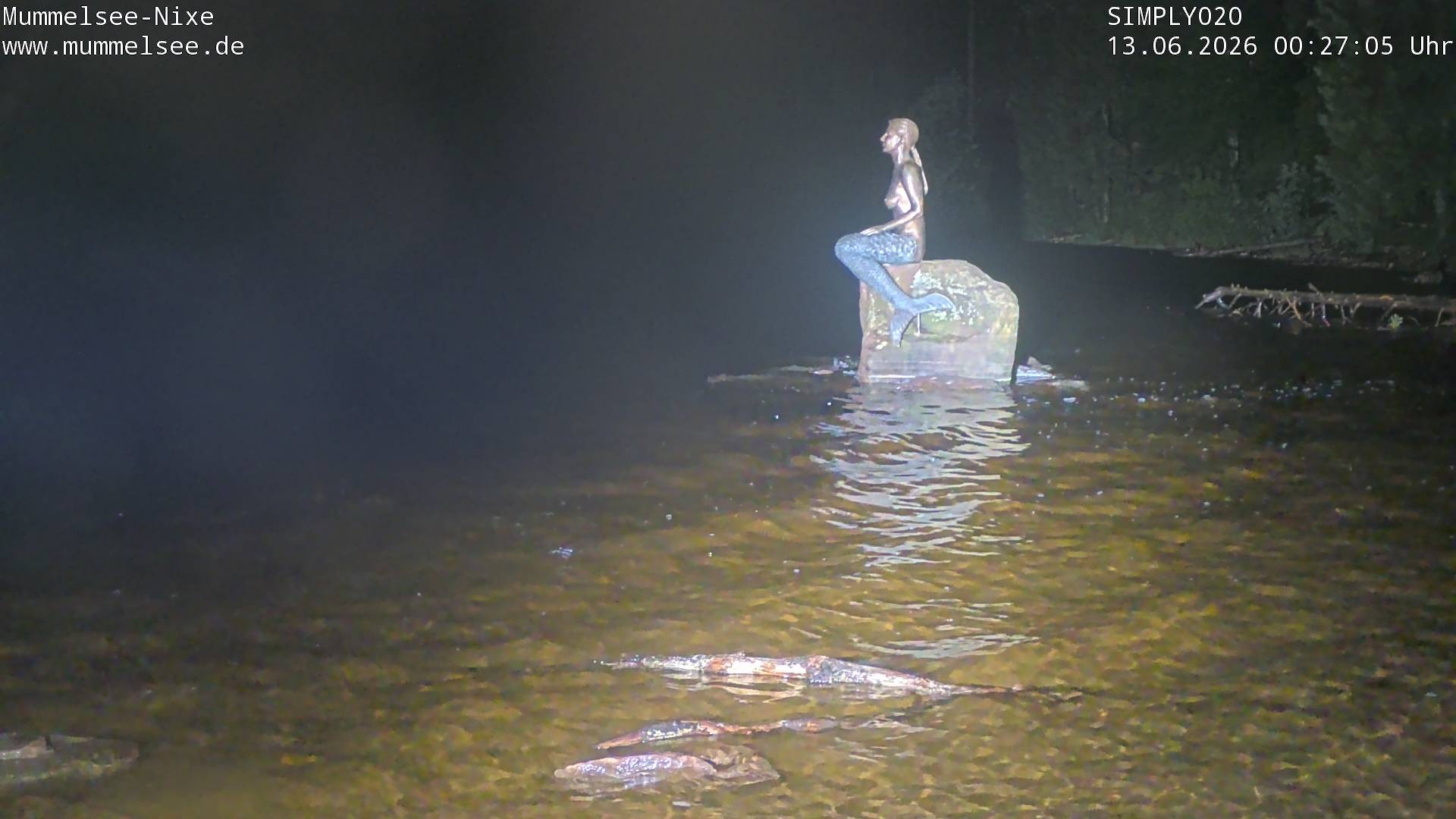 Archiv Foto Webcam Ufer Mummelsee