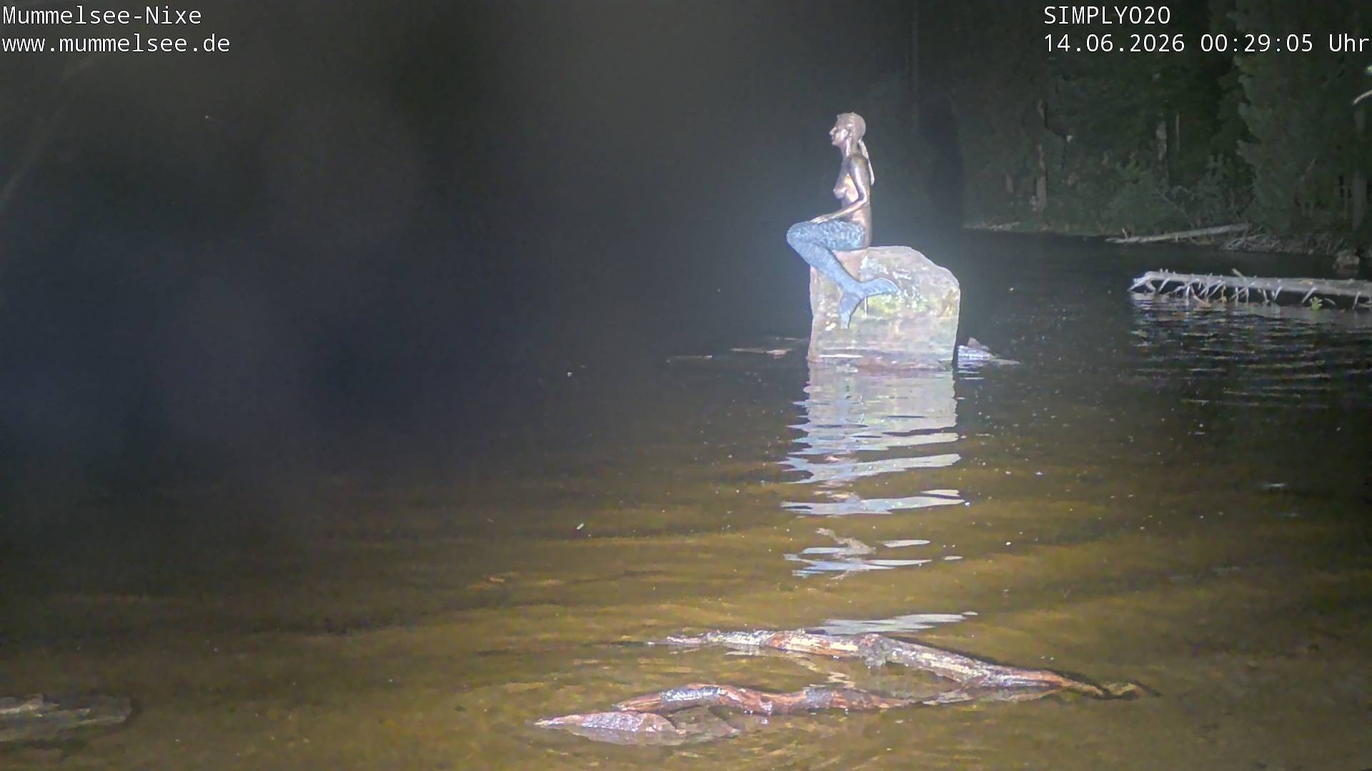 Archiv Foto Webcam Ufer Mummelsee