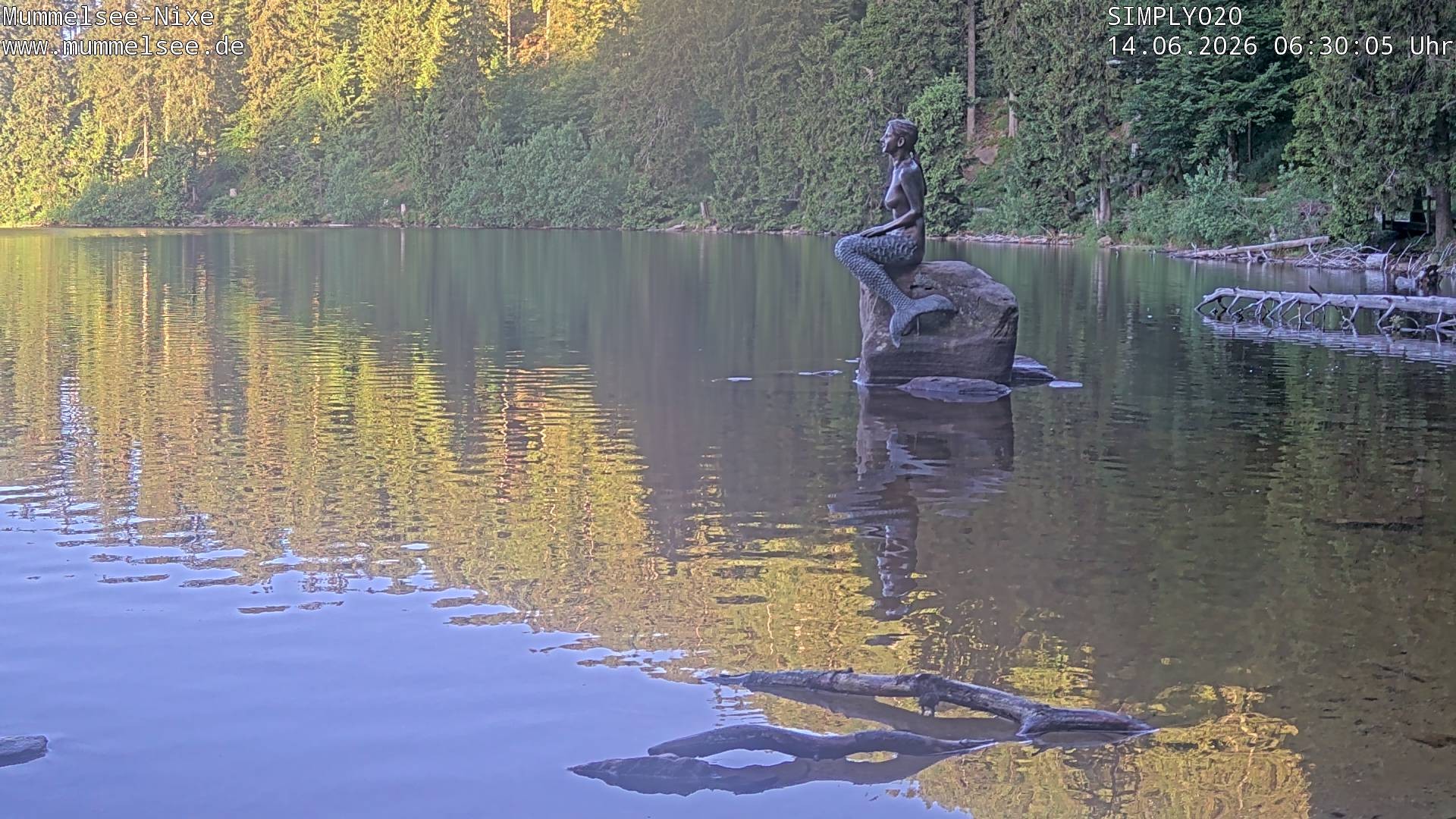 Archiv Foto Webcam Ufer Mummelsee