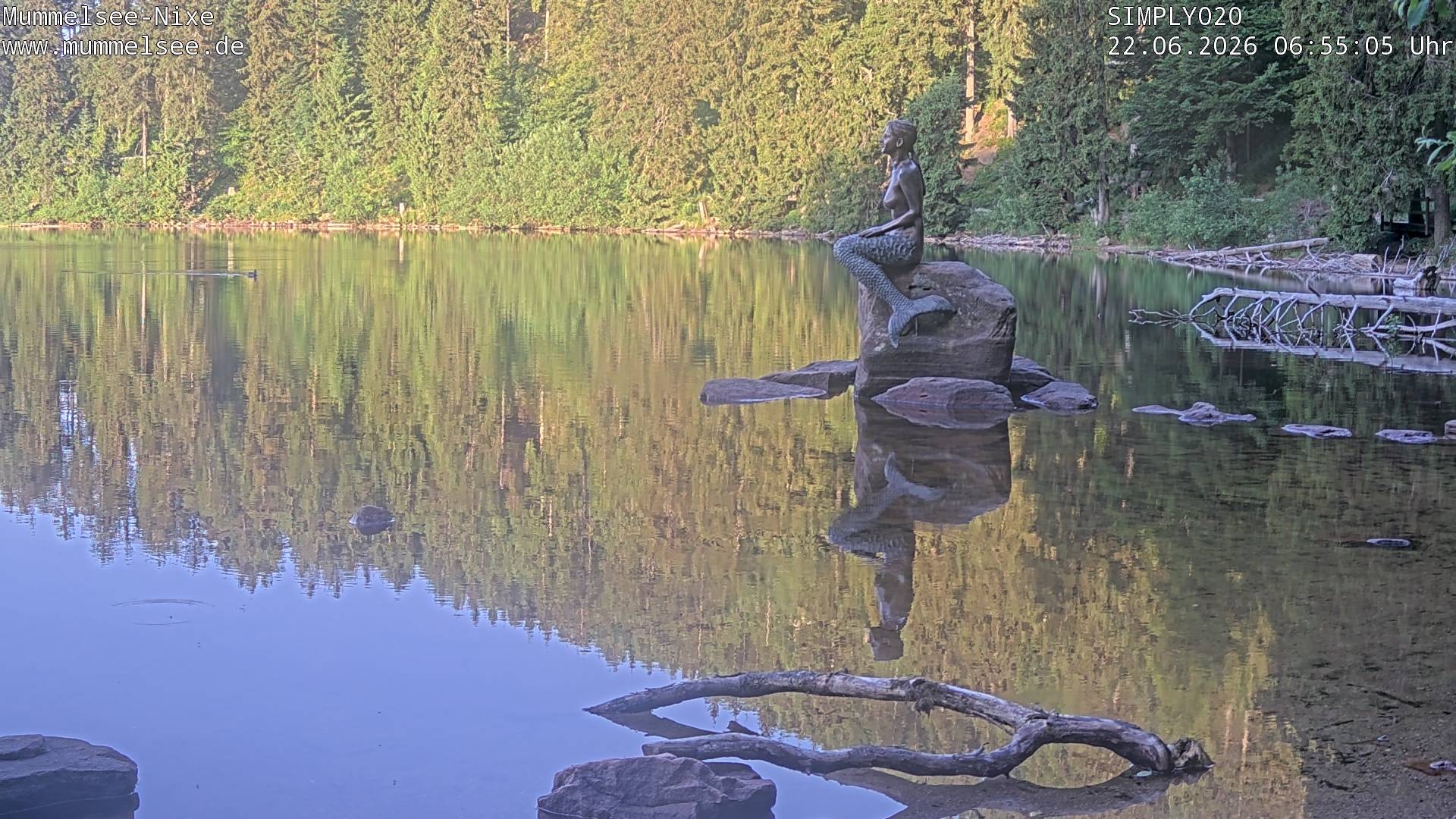 Archiv Foto Webcam Ufer Mummelsee
