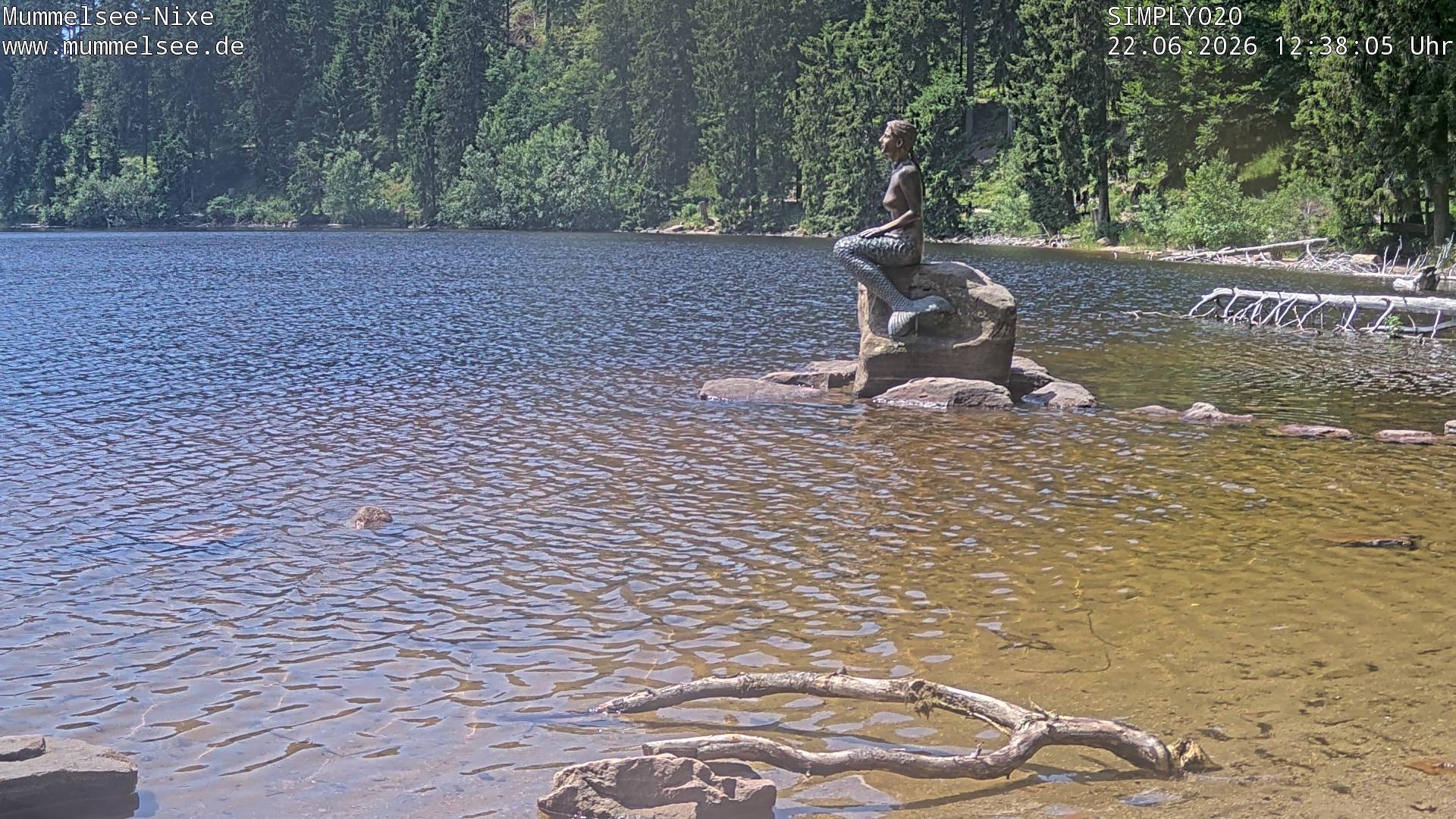 Archiv Foto Webcam Ufer Mummelsee