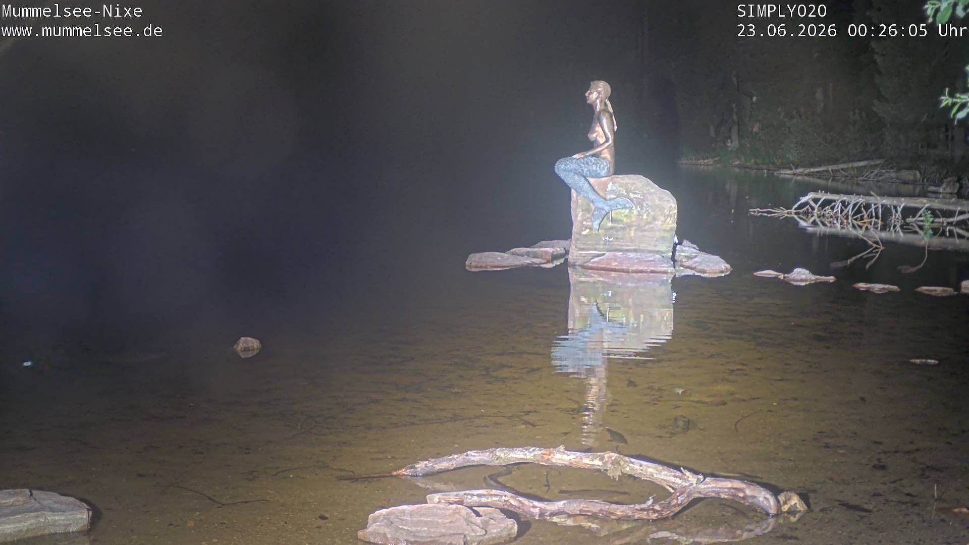 Archived image Webcam Lake Mummelsee - Black Forest