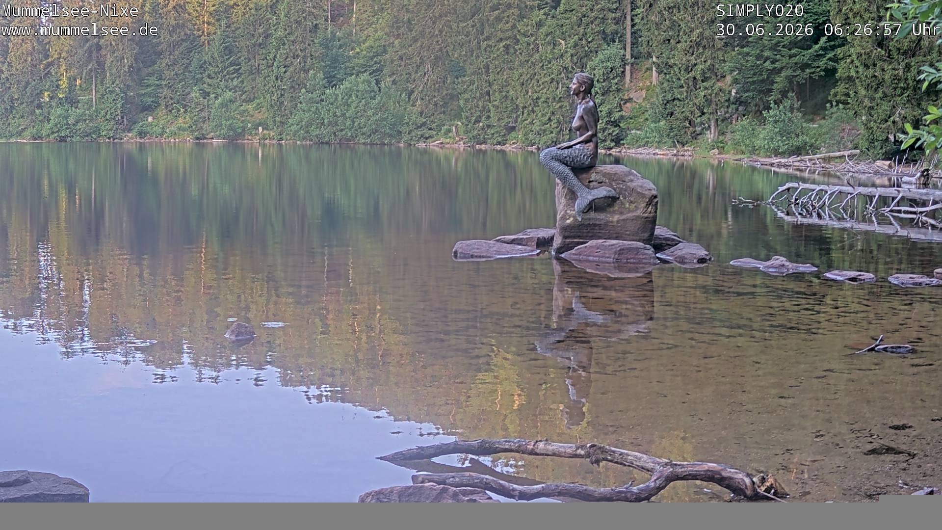 Archiv Foto Webcam Ufer Mummelsee