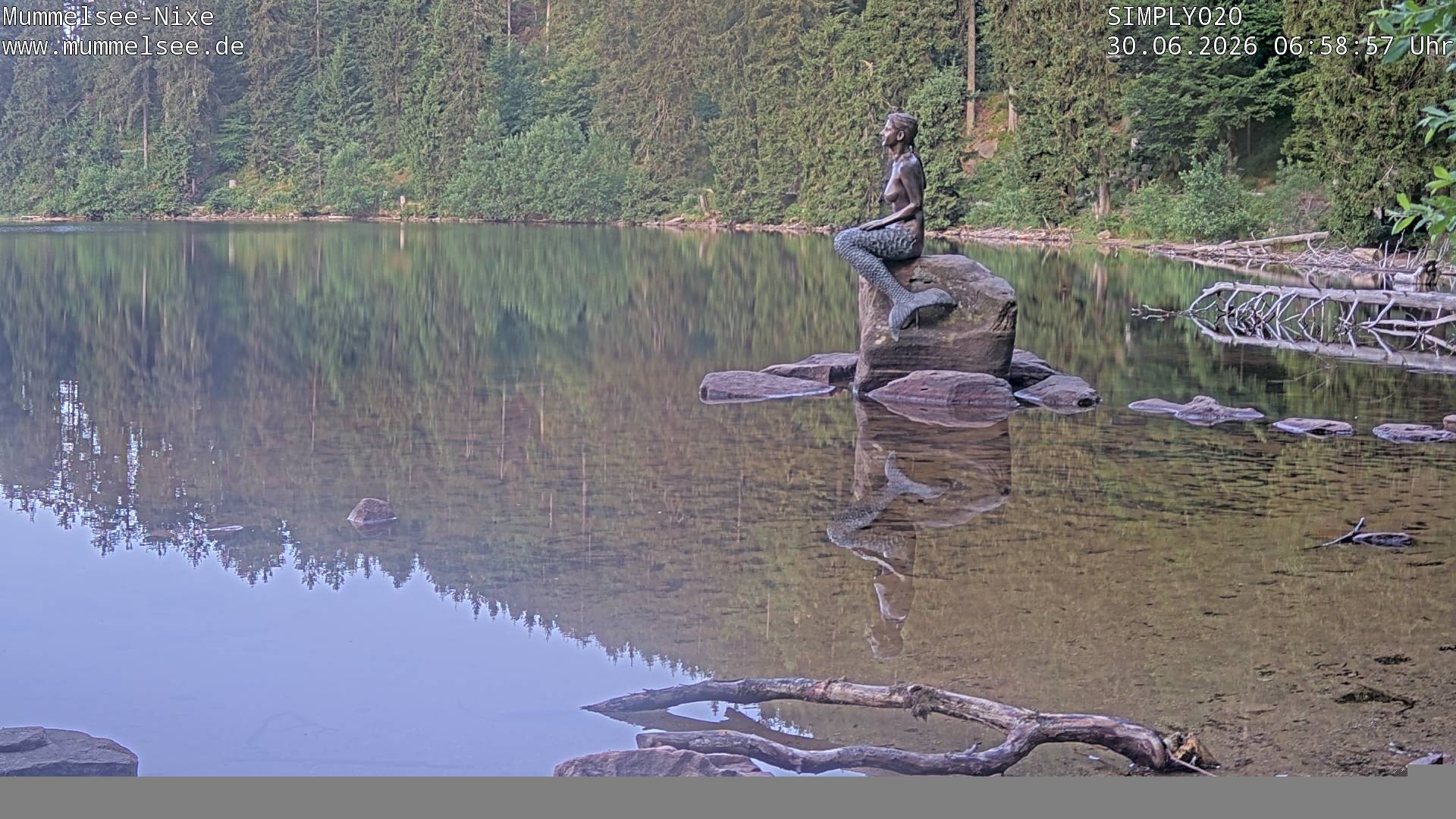 Archiv Foto Webcam Ufer Mummelsee