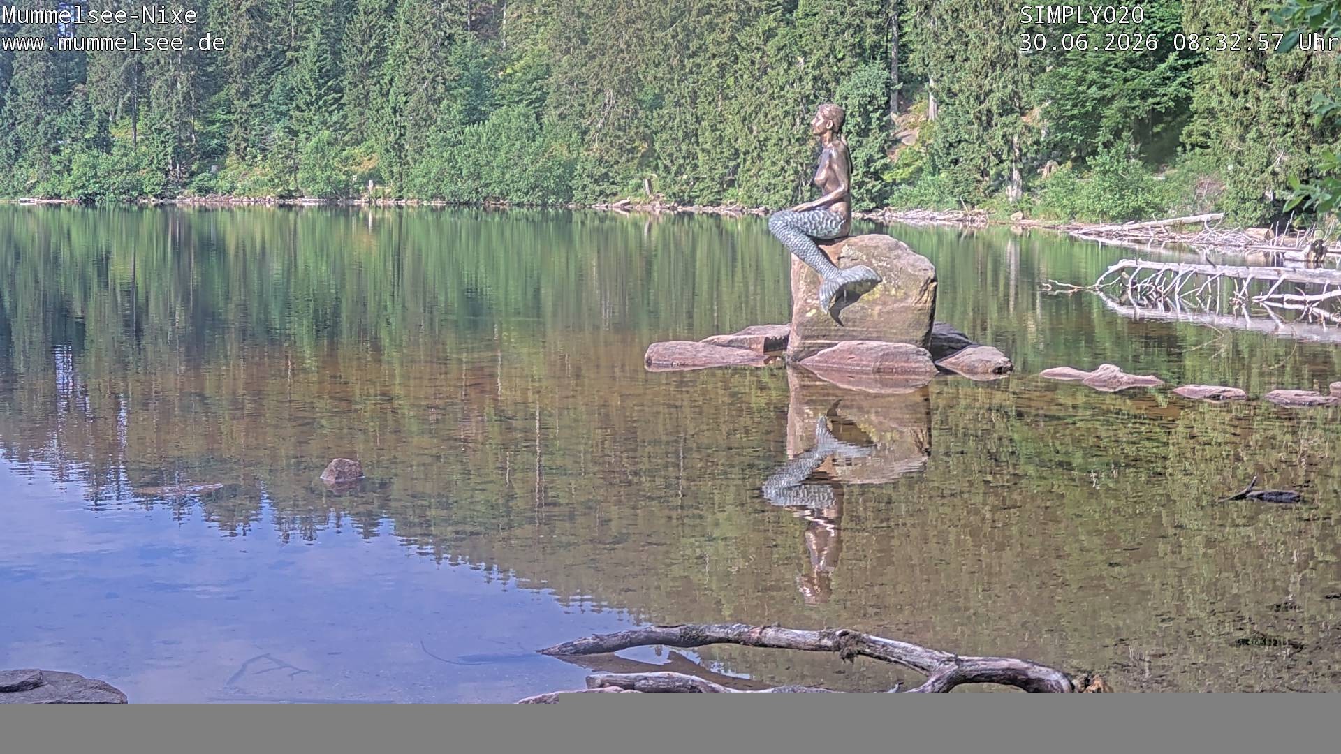 Archiv Foto Webcam Ufer Mummelsee