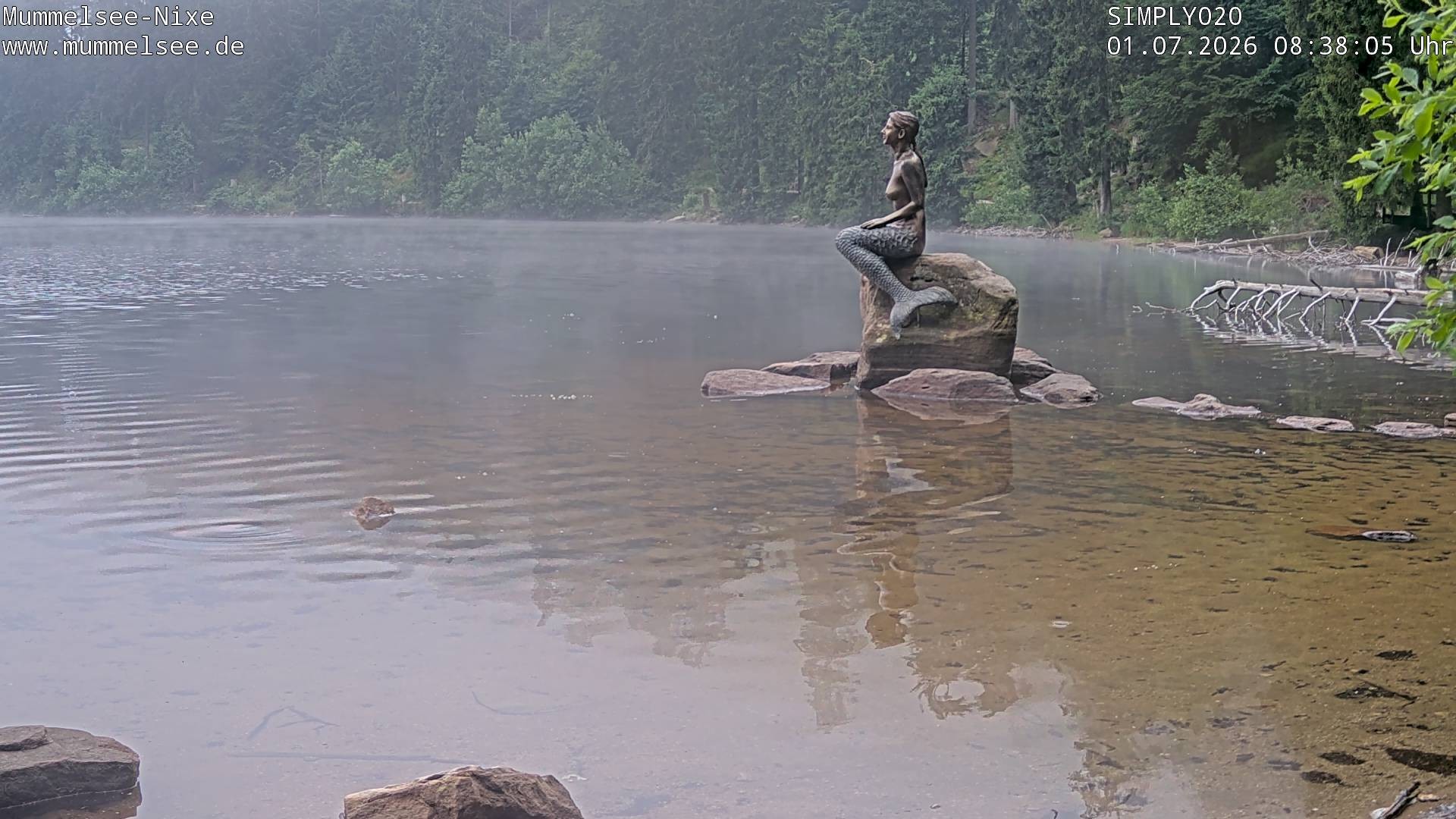 Archiv Foto Webcam Ufer Mummelsee