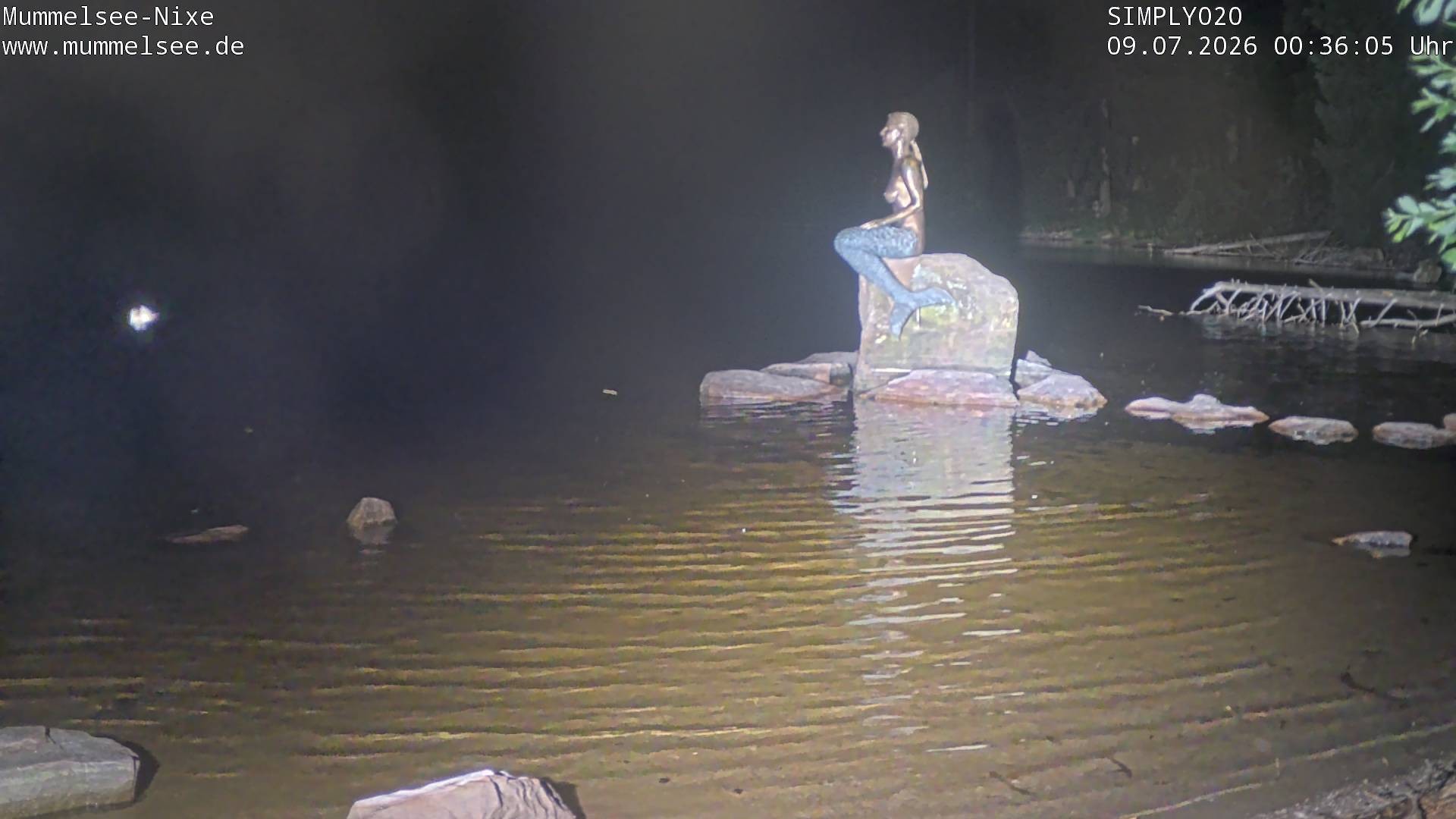Archived image Webcam Lake Mummelsee - Black Forest