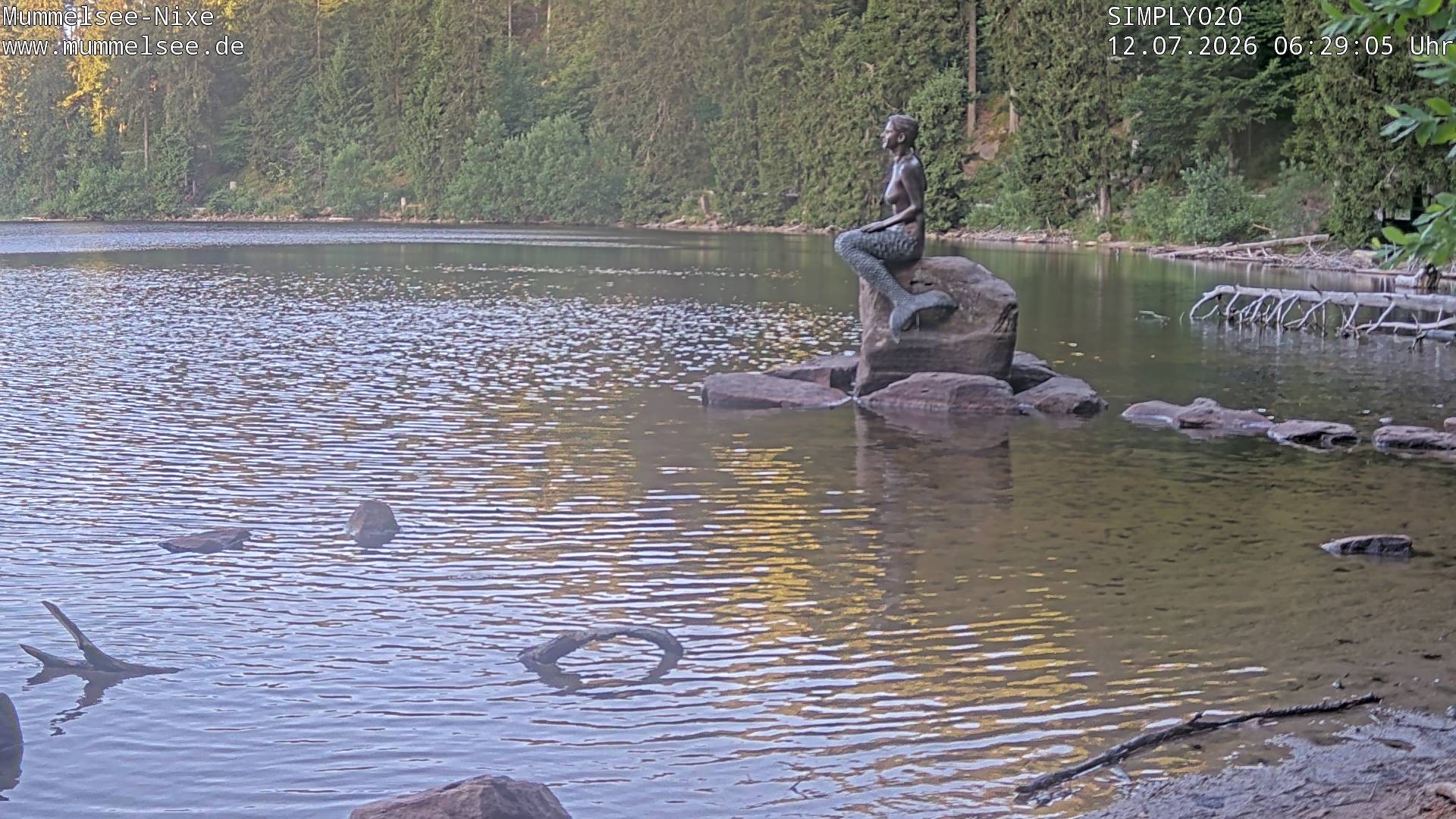 Archiv Foto Webcam Ufer Mummelsee