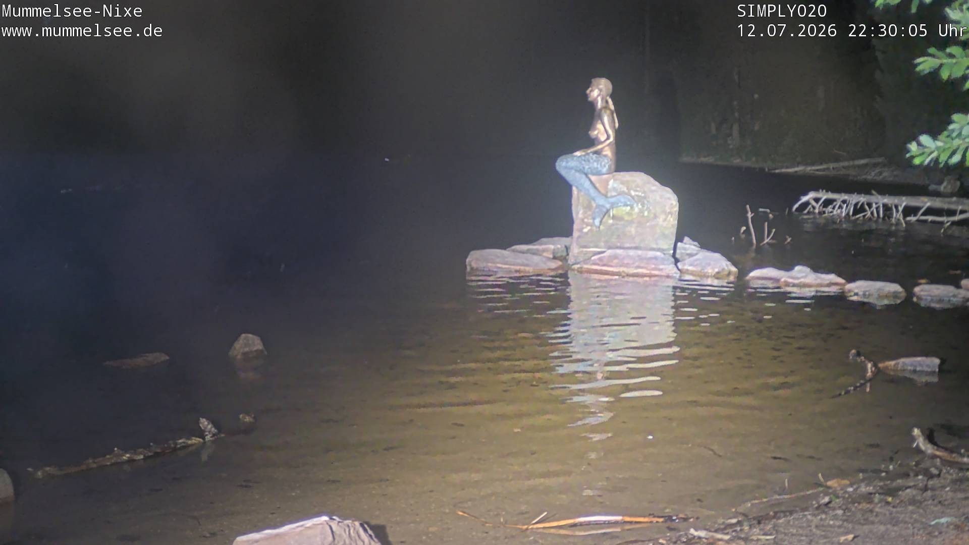 Archived image Webcam Lake Mummelsee - Black Forest