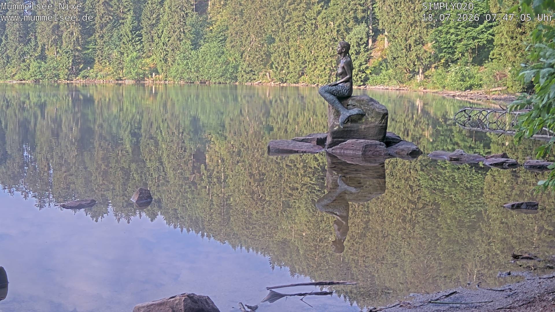 Archiv Foto Webcam Ufer Mummelsee