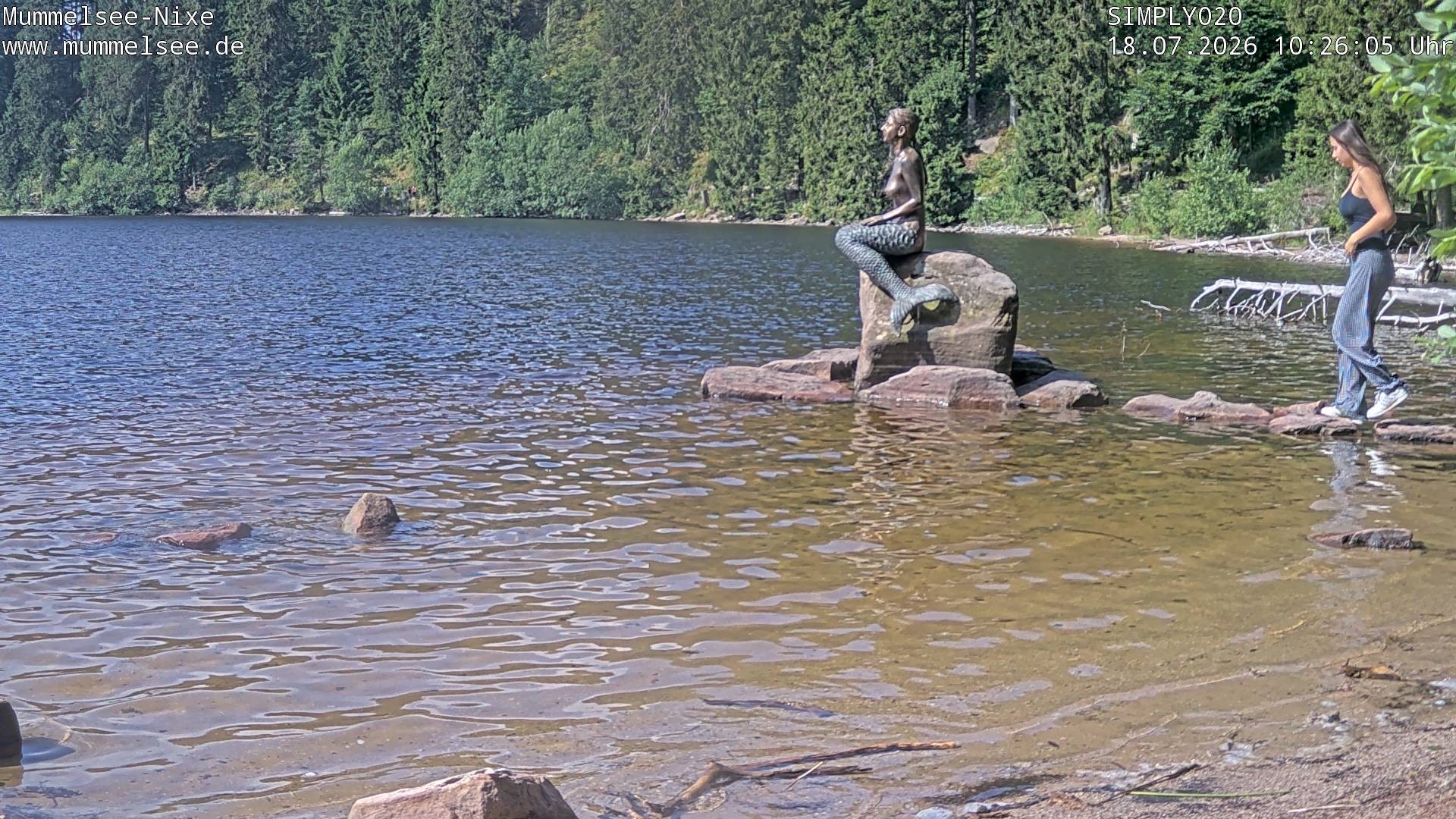 Archiv Foto Webcam Ufer Mummelsee