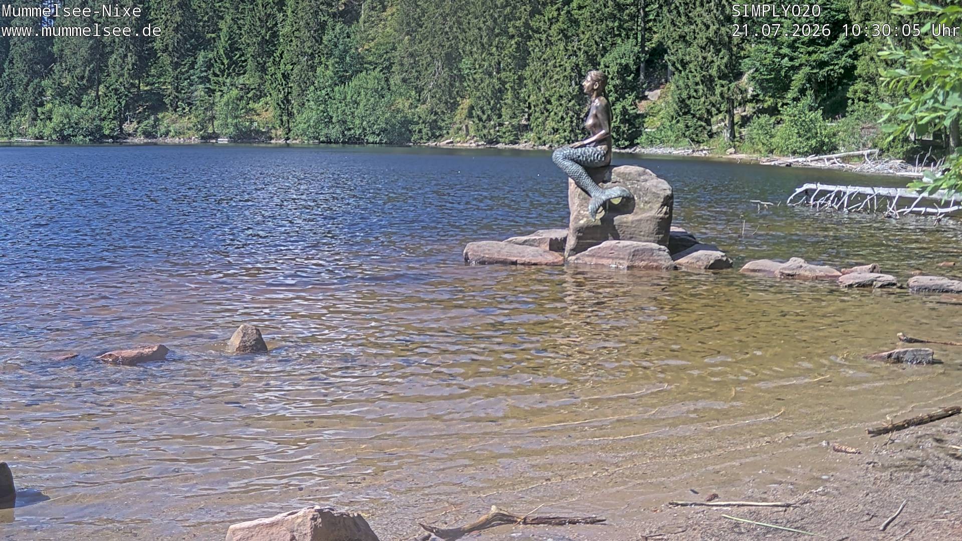 Archiv Foto Webcam Ufer Mummelsee