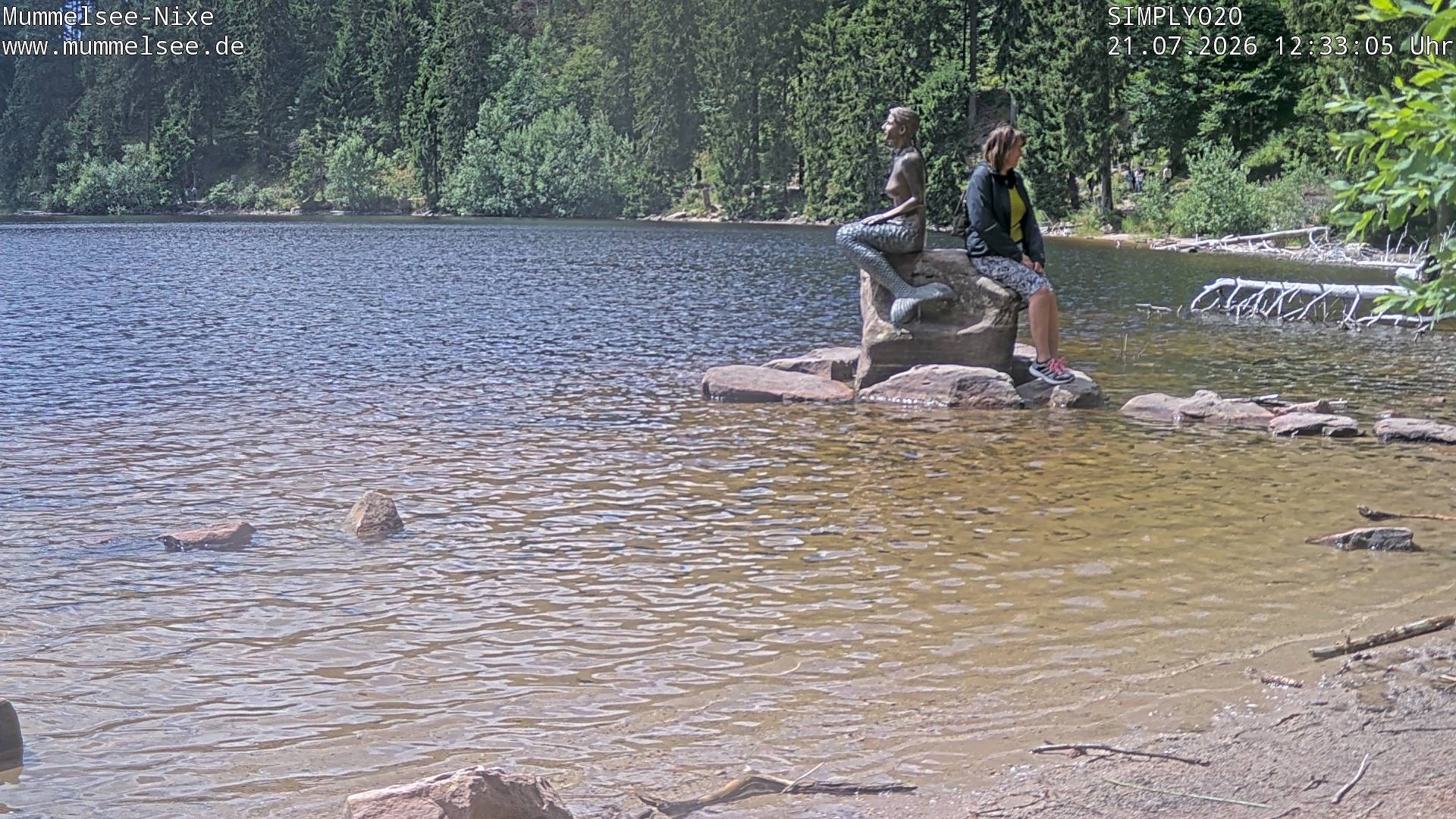 Archiv Foto Webcam Ufer Mummelsee