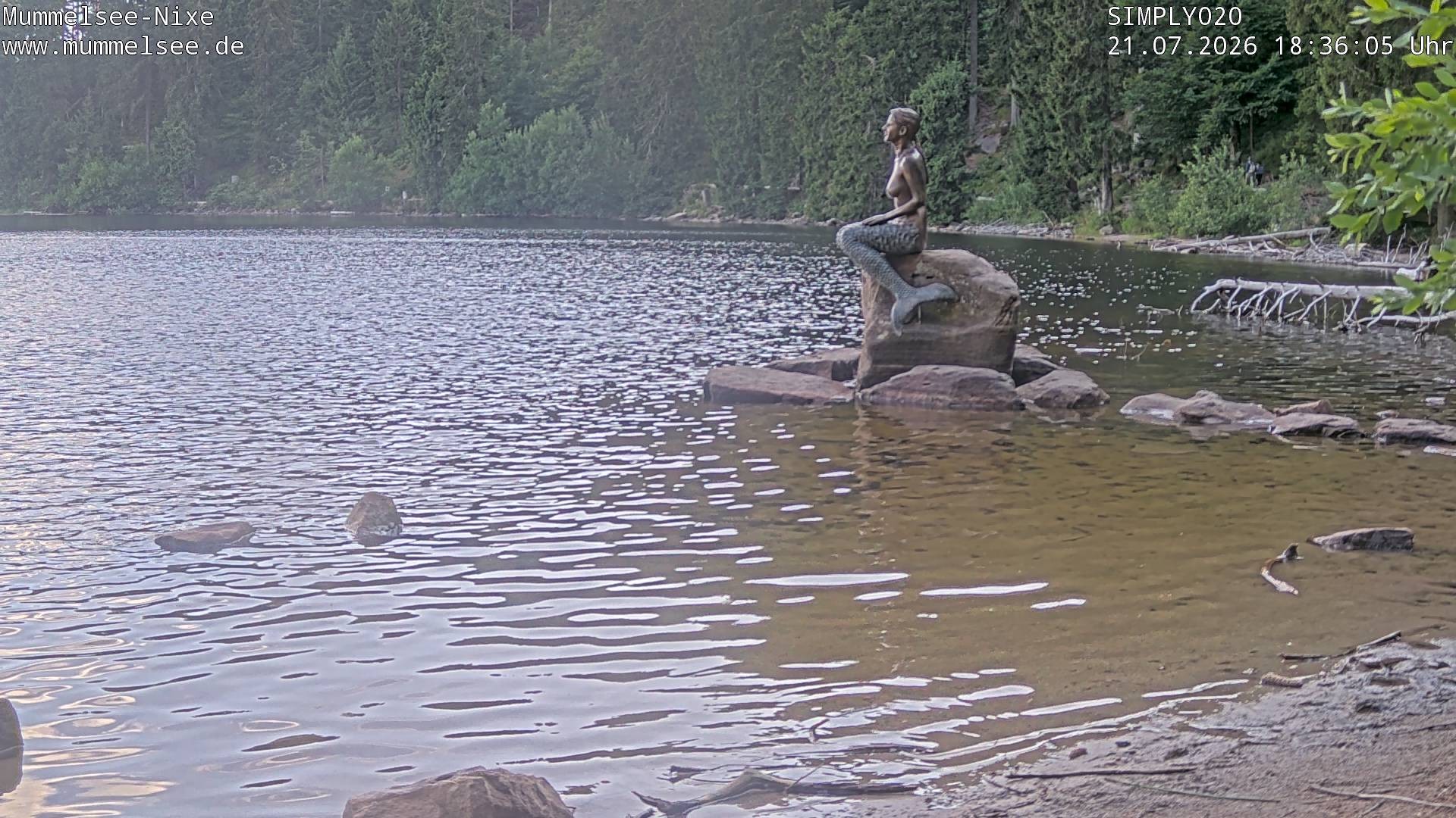 Archiv Foto Webcam Ufer Mummelsee