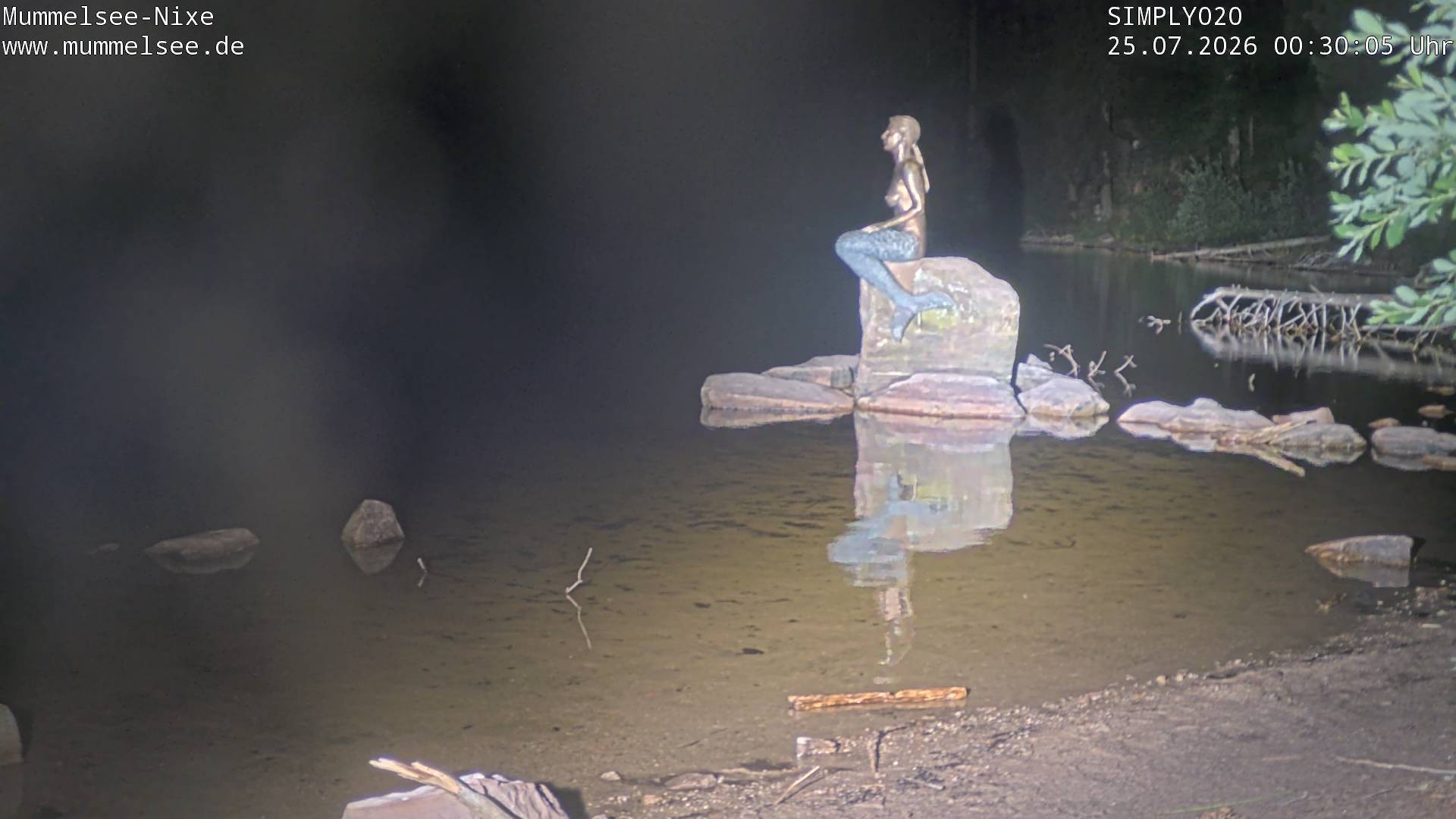 Archived image Webcam Lake Mummelsee - Black Forest