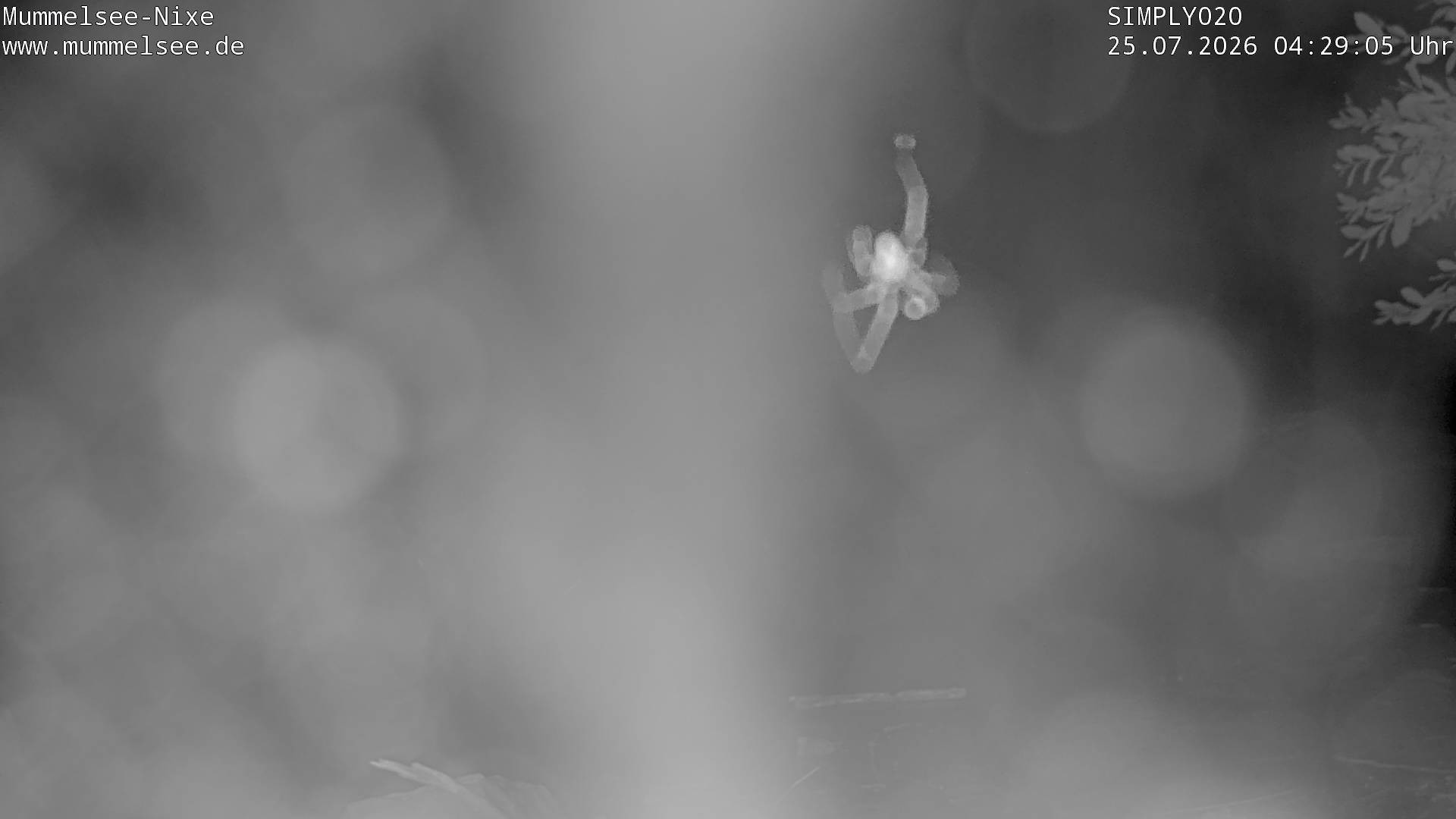 Archived image Webcam Lake Mummelsee - Black Forest