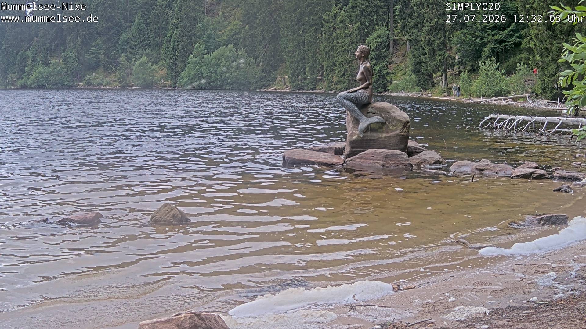Archiv Foto Webcam Ufer Mummelsee