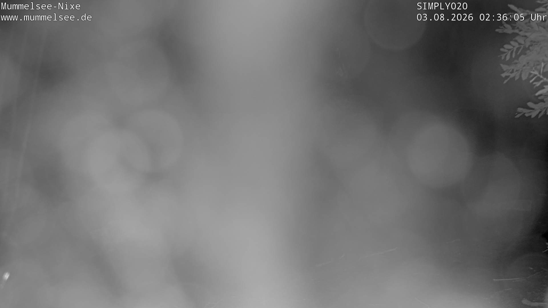 Archiv Foto Webcam Ufer Mummelsee