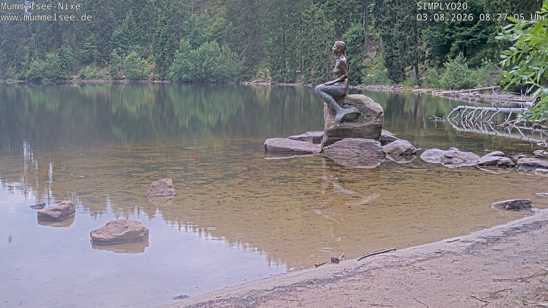 Archiv Foto Webcam Ufer Mummelsee