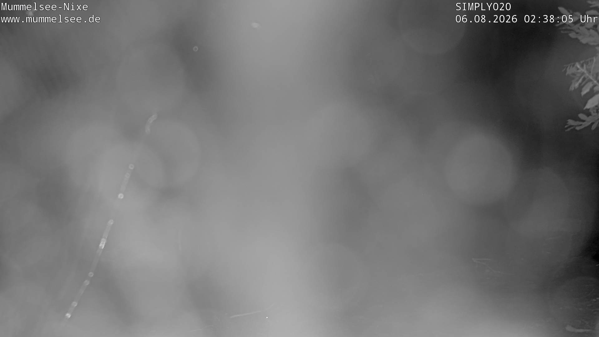 Archiv Foto Webcam Ufer Mummelsee