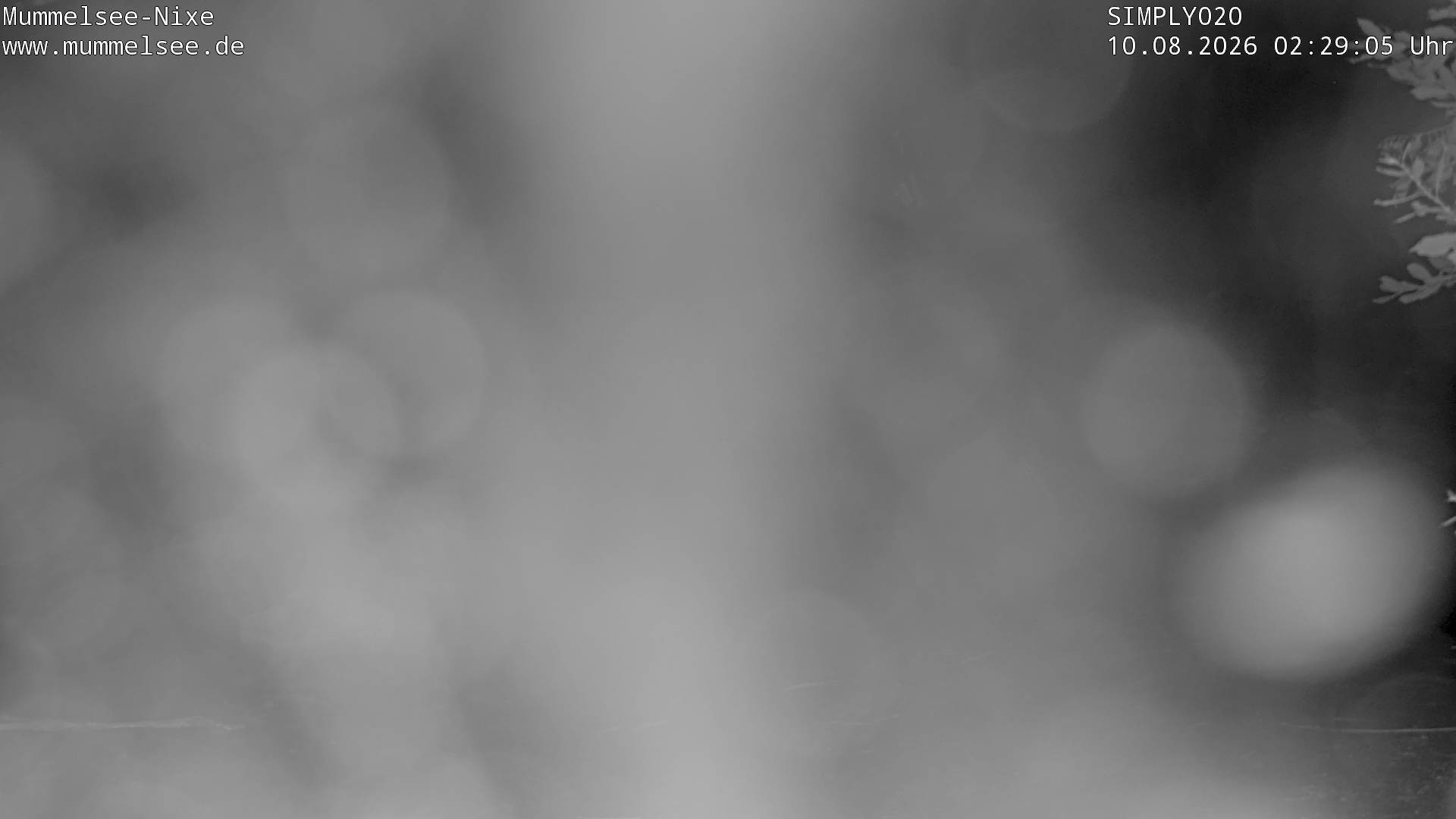 Archiv Foto Webcam Ufer Mummelsee