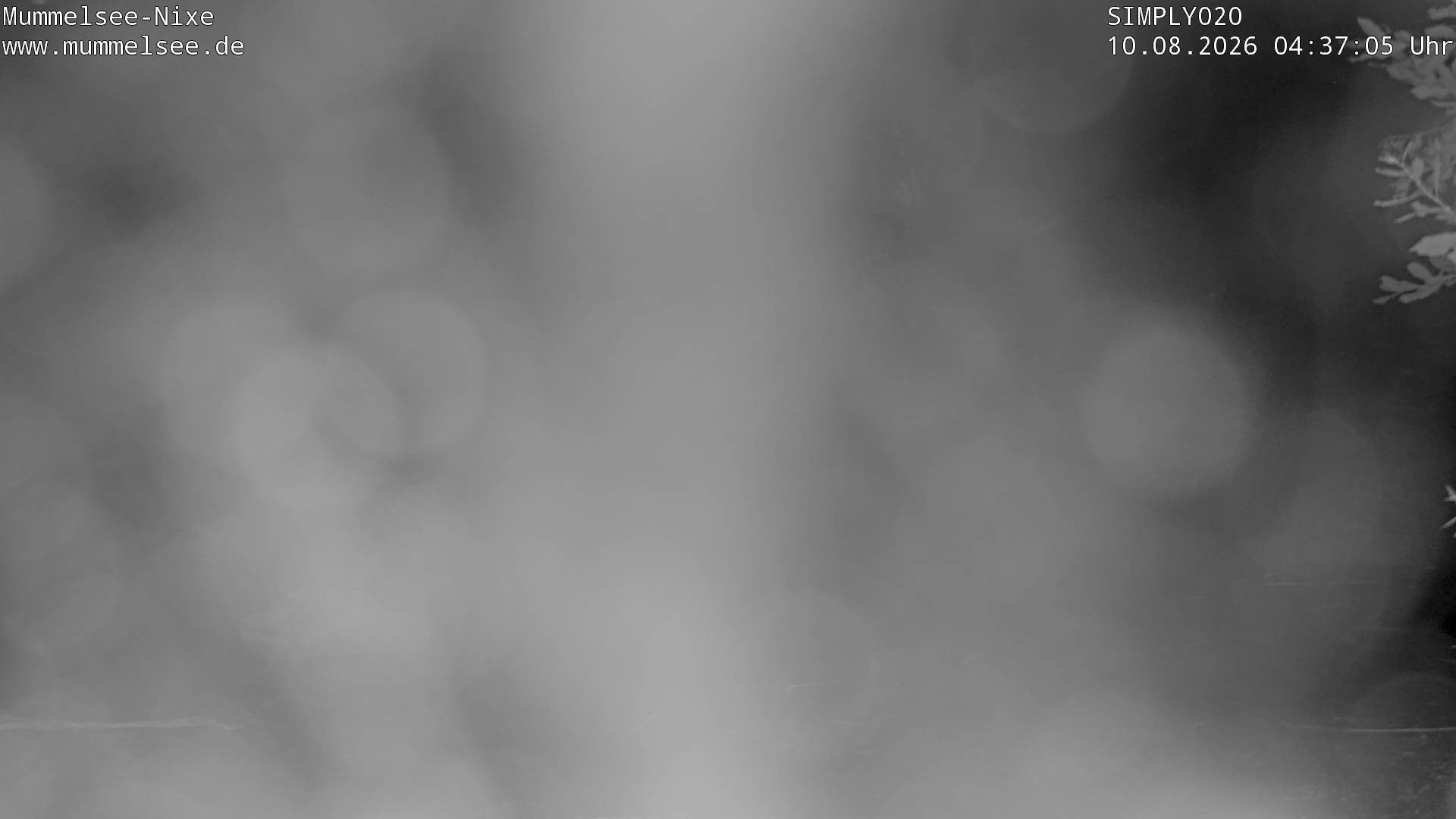 Archiv Foto Webcam Ufer Mummelsee