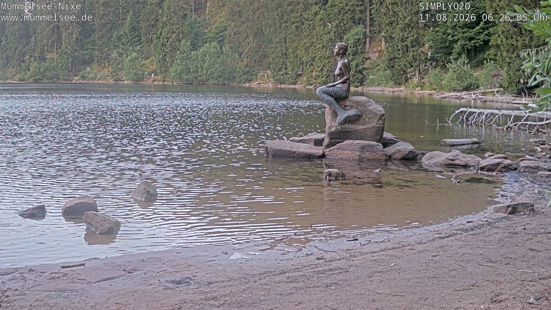Archiv Foto Webcam Ufer Mummelsee
