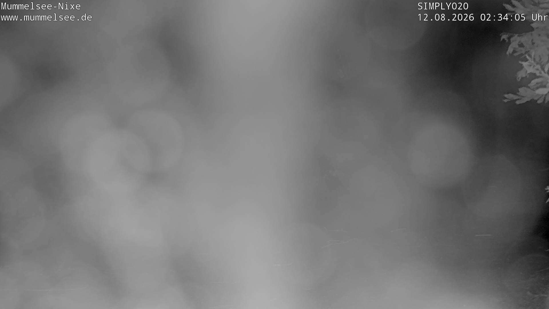 Archiv Foto Webcam Ufer Mummelsee