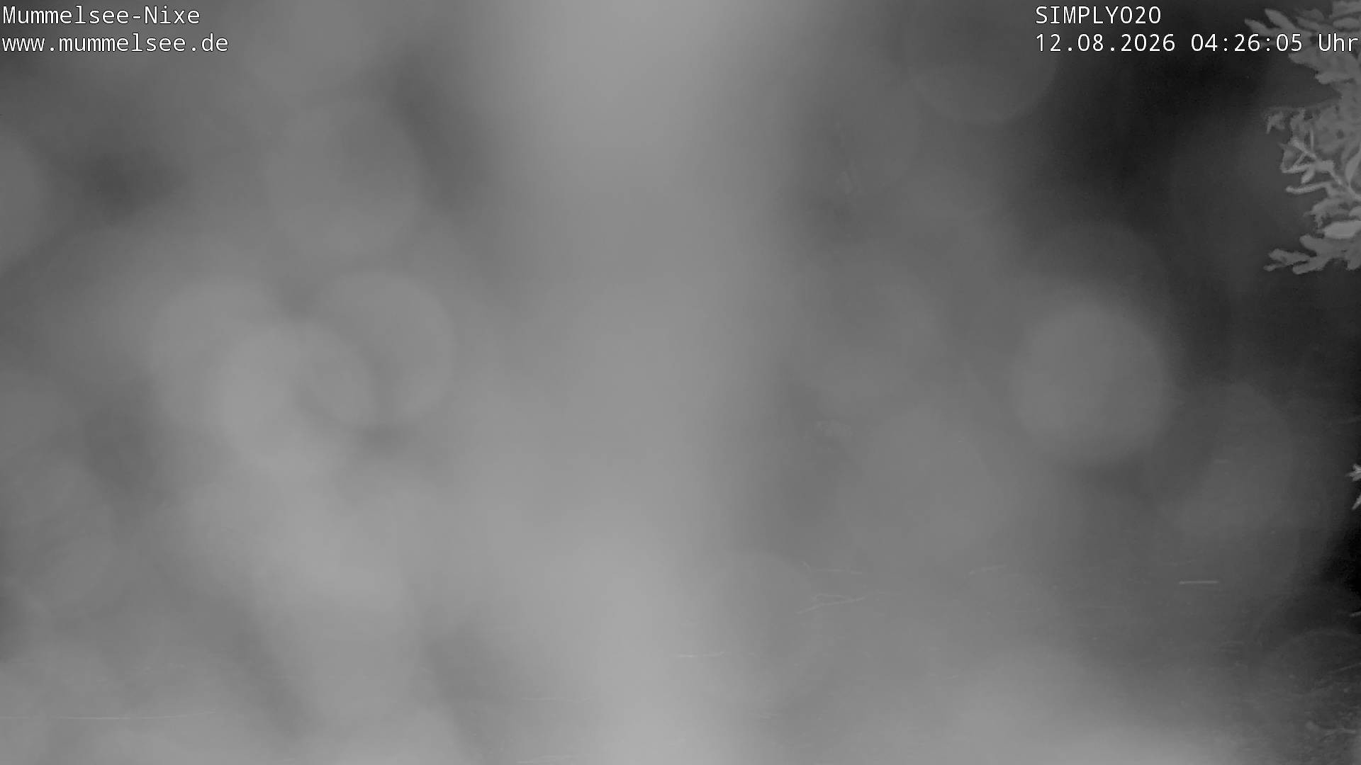 Archiv Foto Webcam Ufer Mummelsee