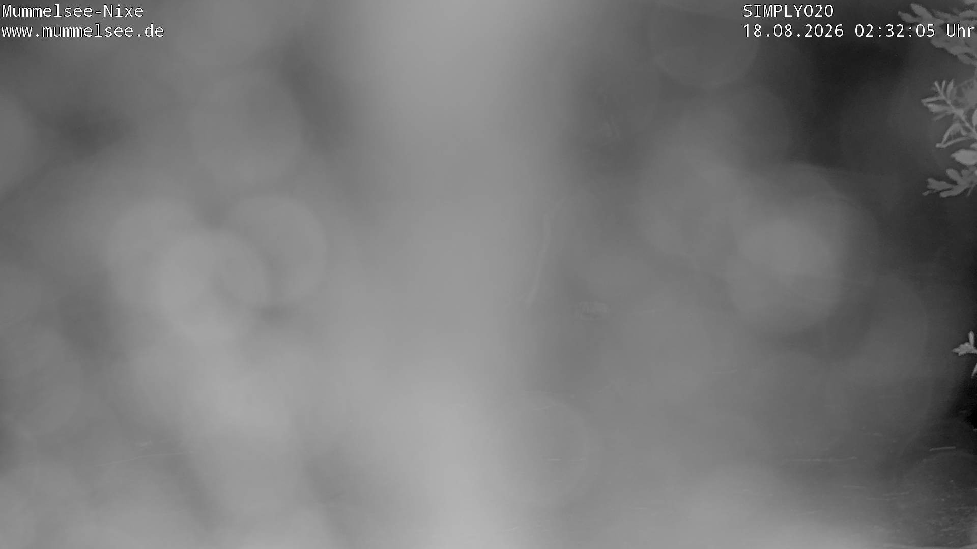 Archiv Foto Webcam Ufer Mummelsee