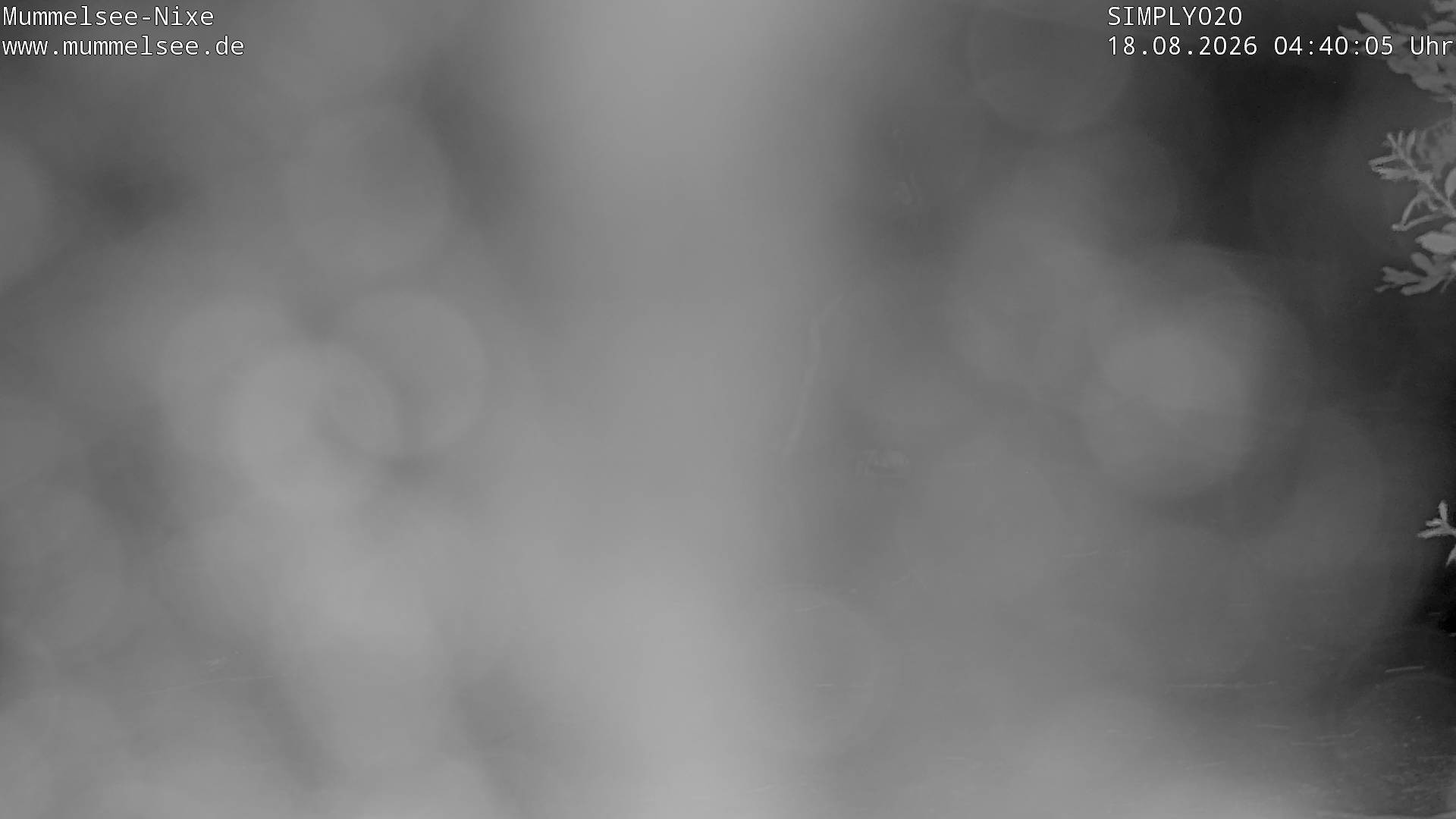 Archiv Foto Webcam Ufer Mummelsee