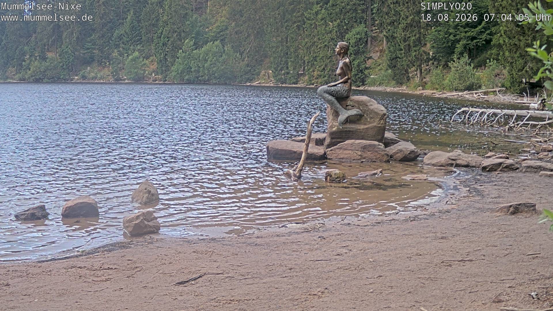 Archiv Foto Webcam Ufer Mummelsee