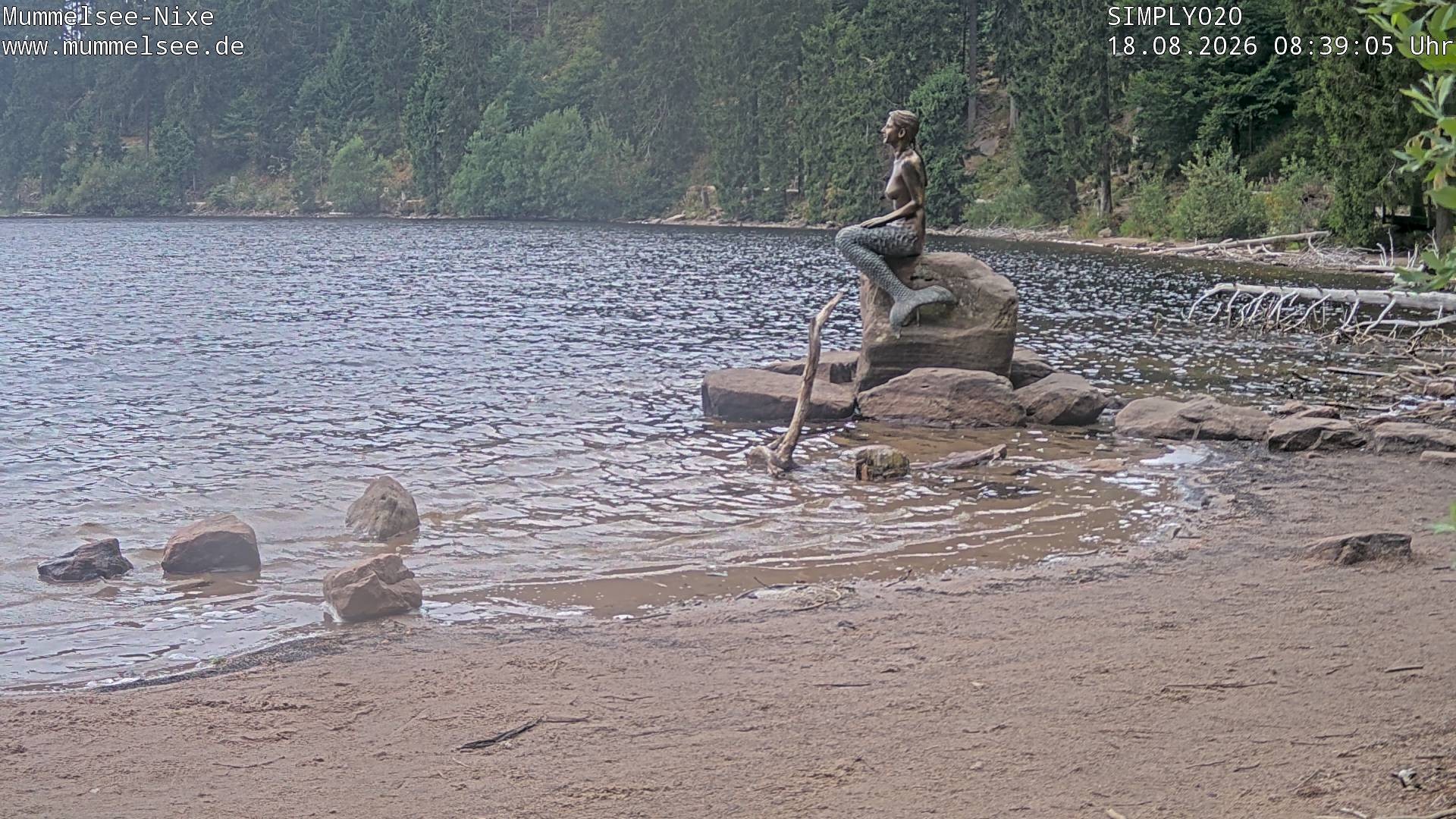 Archiv Foto Webcam Ufer Mummelsee