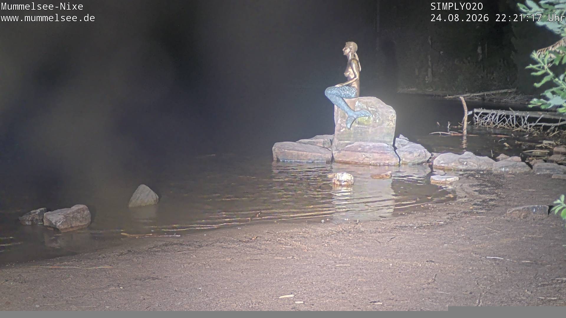 Archived image Webcam Lake Mummelsee - Black Forest