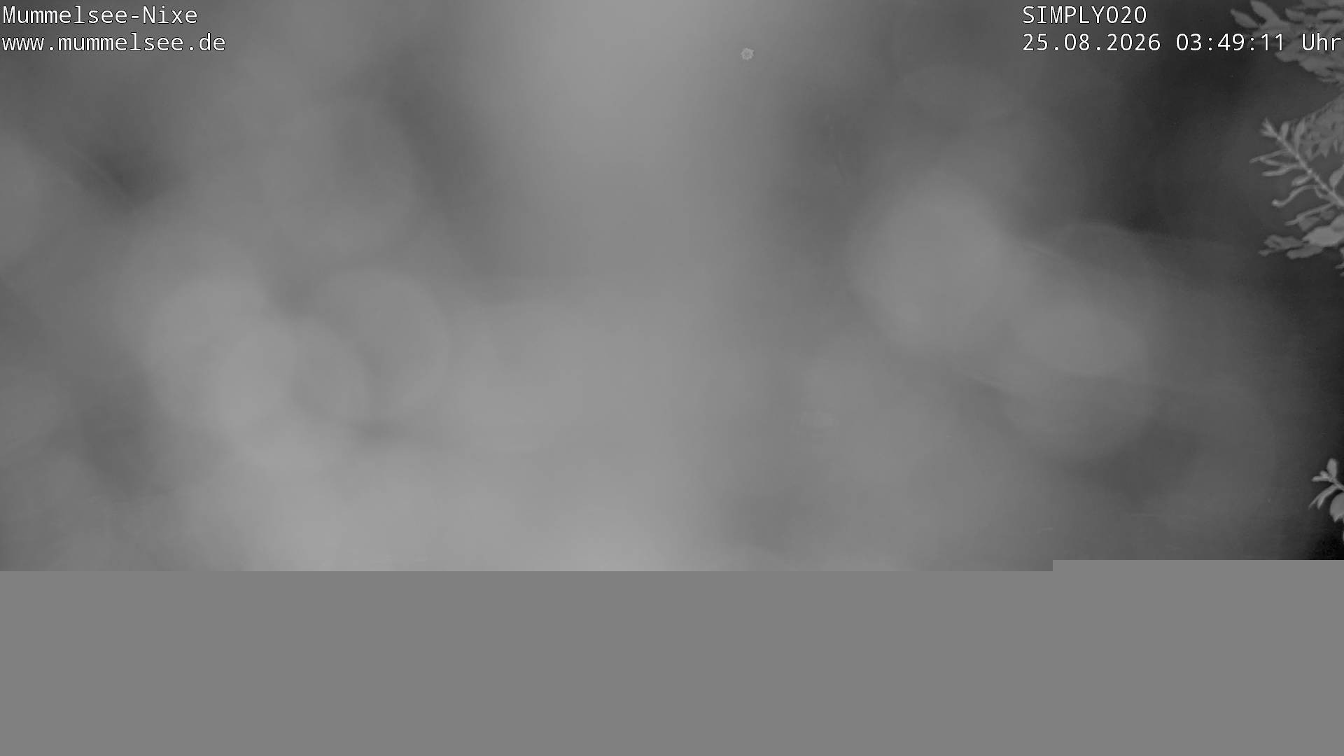 Archiv Foto Webcam Ufer Mummelsee