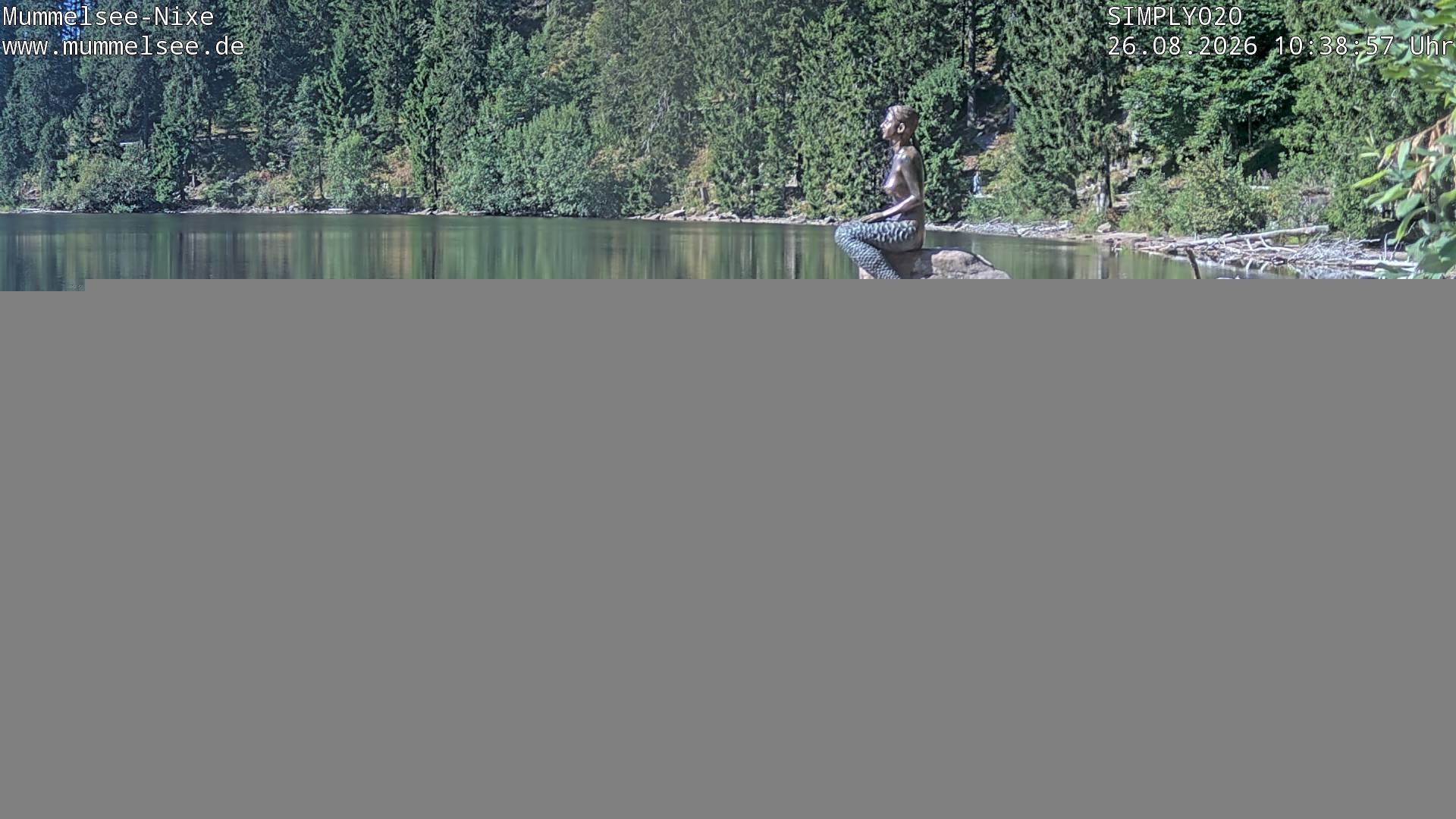 Archiv Foto Webcam Ufer Mummelsee