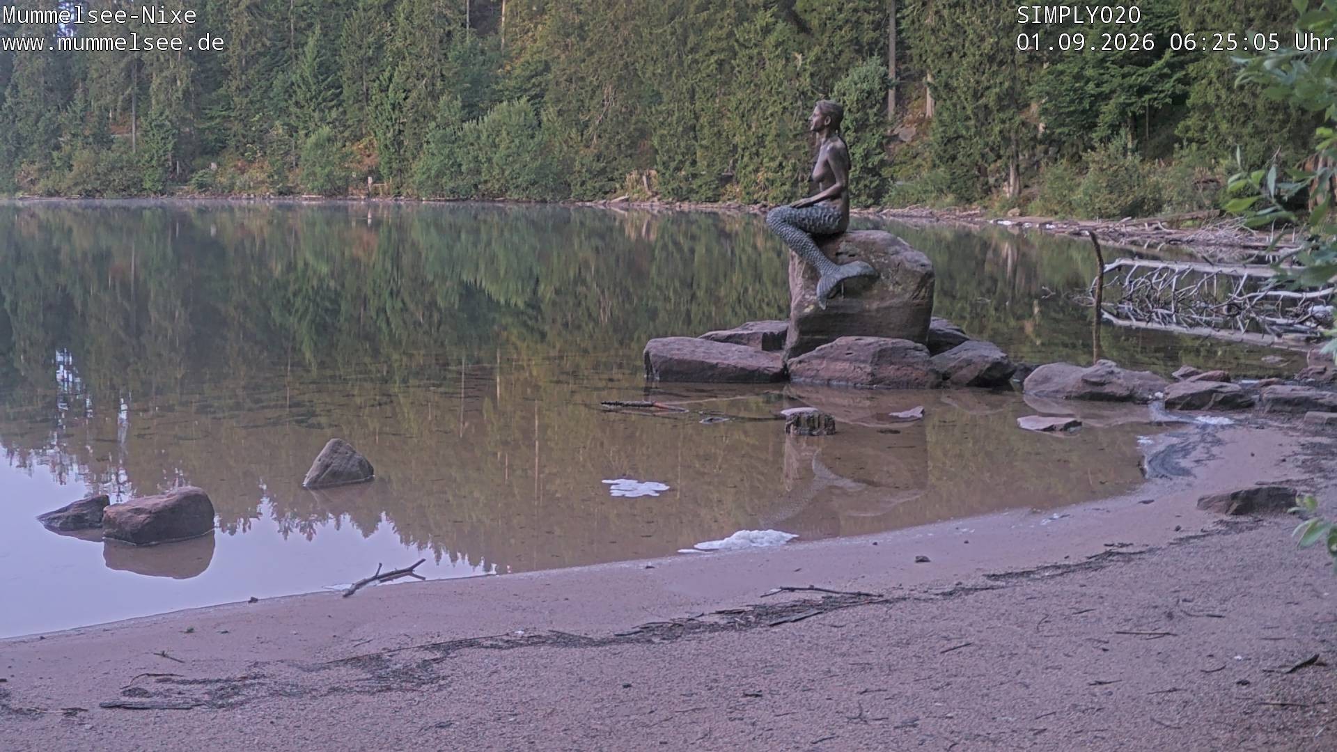 Archiv Foto Webcam Ufer Mummelsee