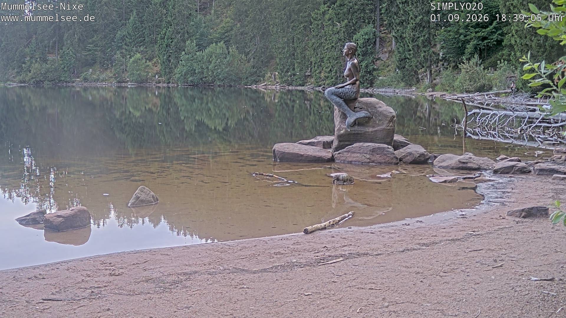 Archiv Foto Webcam Ufer Mummelsee