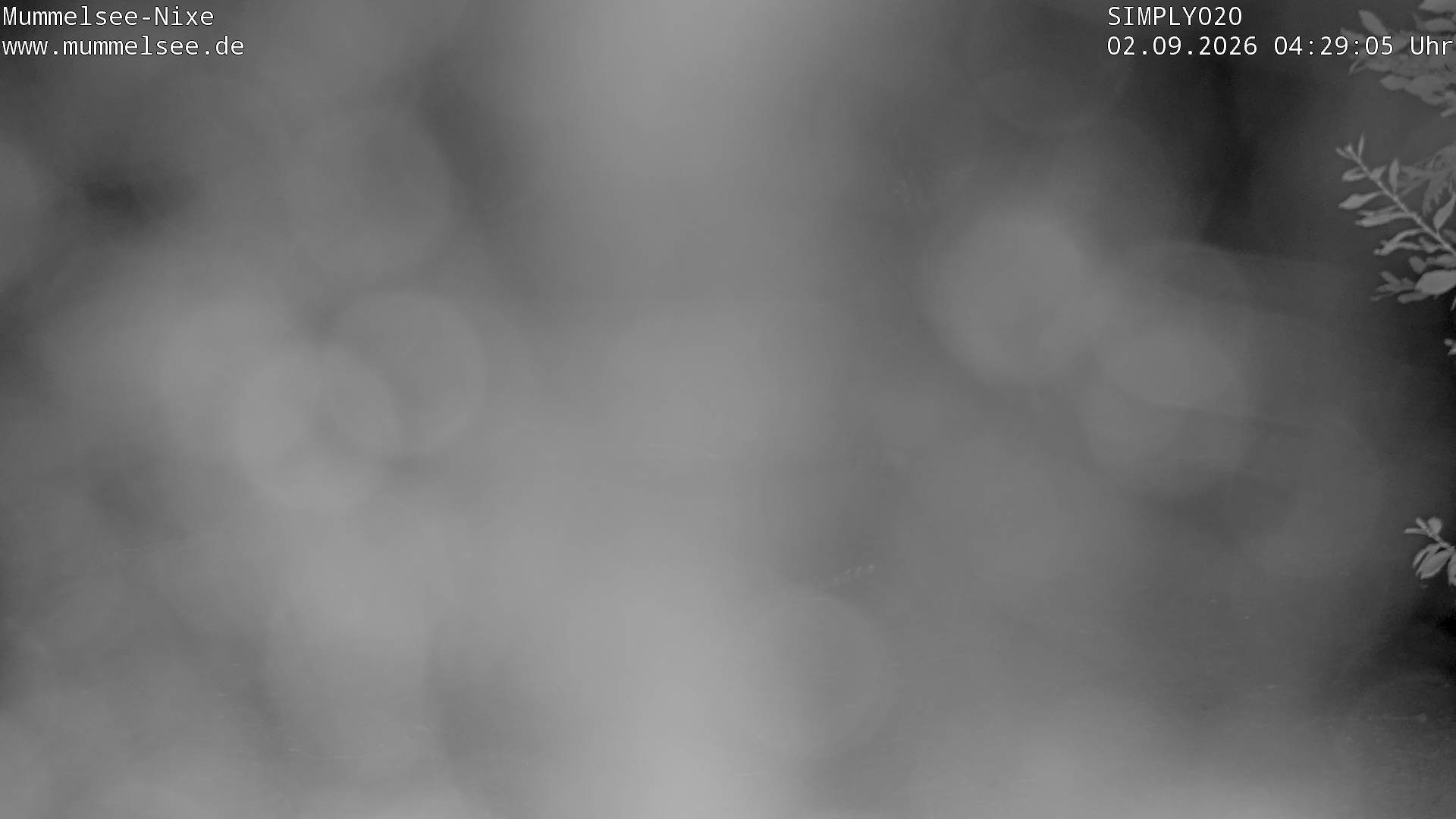 Archiv Foto Webcam Ufer Mummelsee
