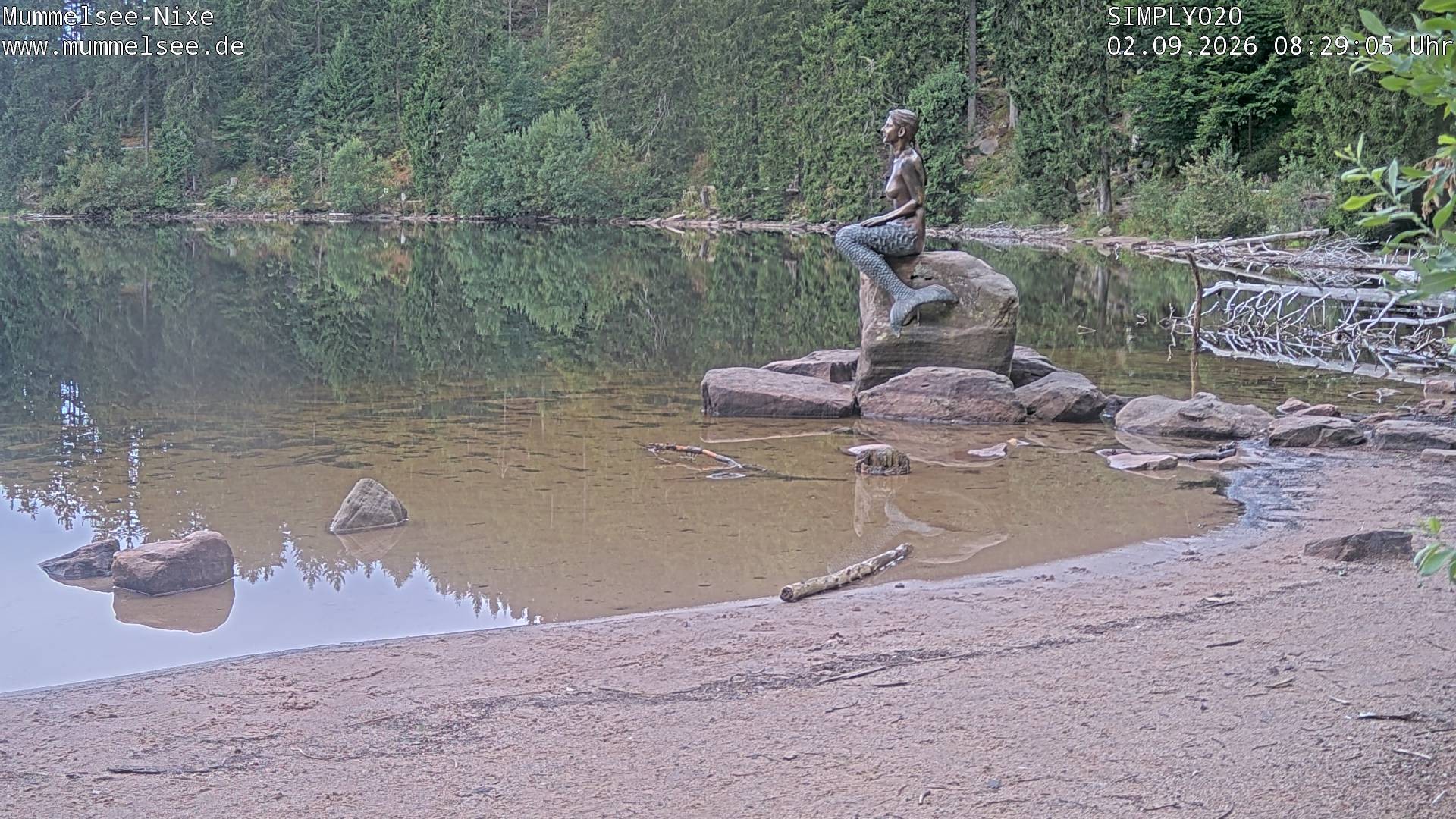 Archiv Foto Webcam Ufer Mummelsee