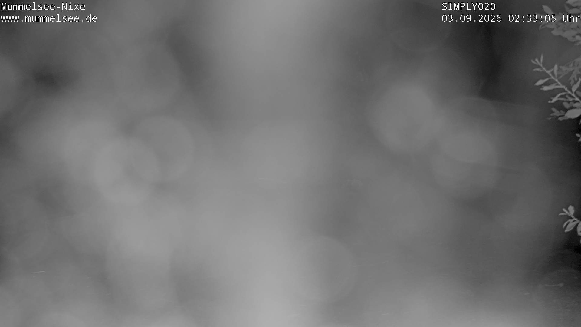 Archiv Foto Webcam Ufer Mummelsee