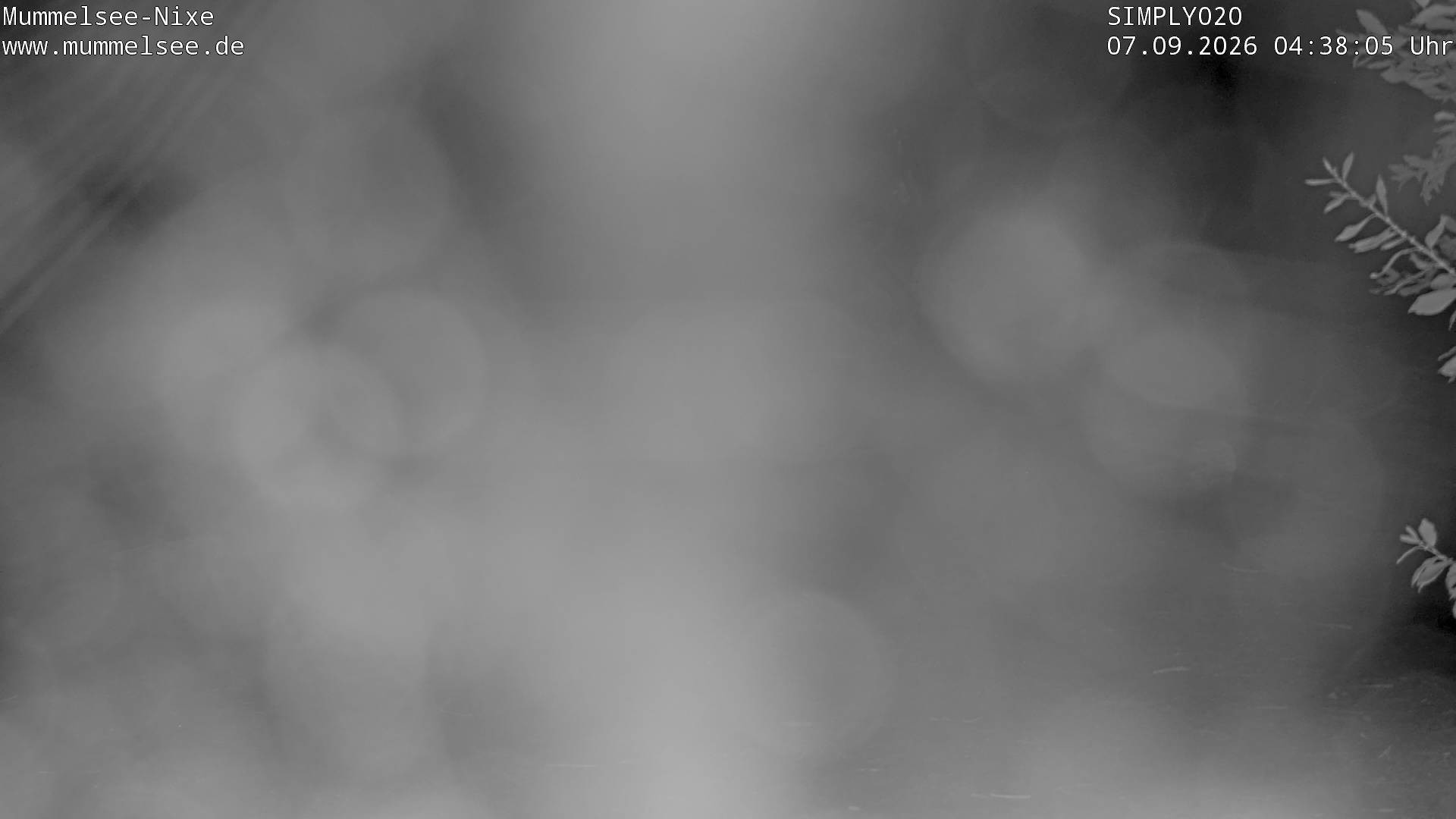 Archived image Webcam Lake Mummelsee - Black Forest