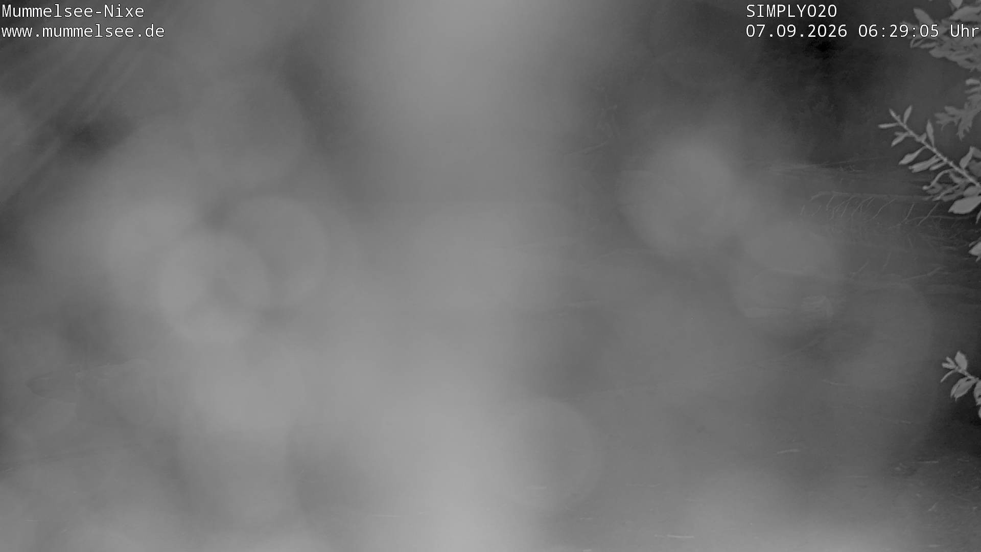 Archived image Webcam Lake Mummelsee - Black Forest